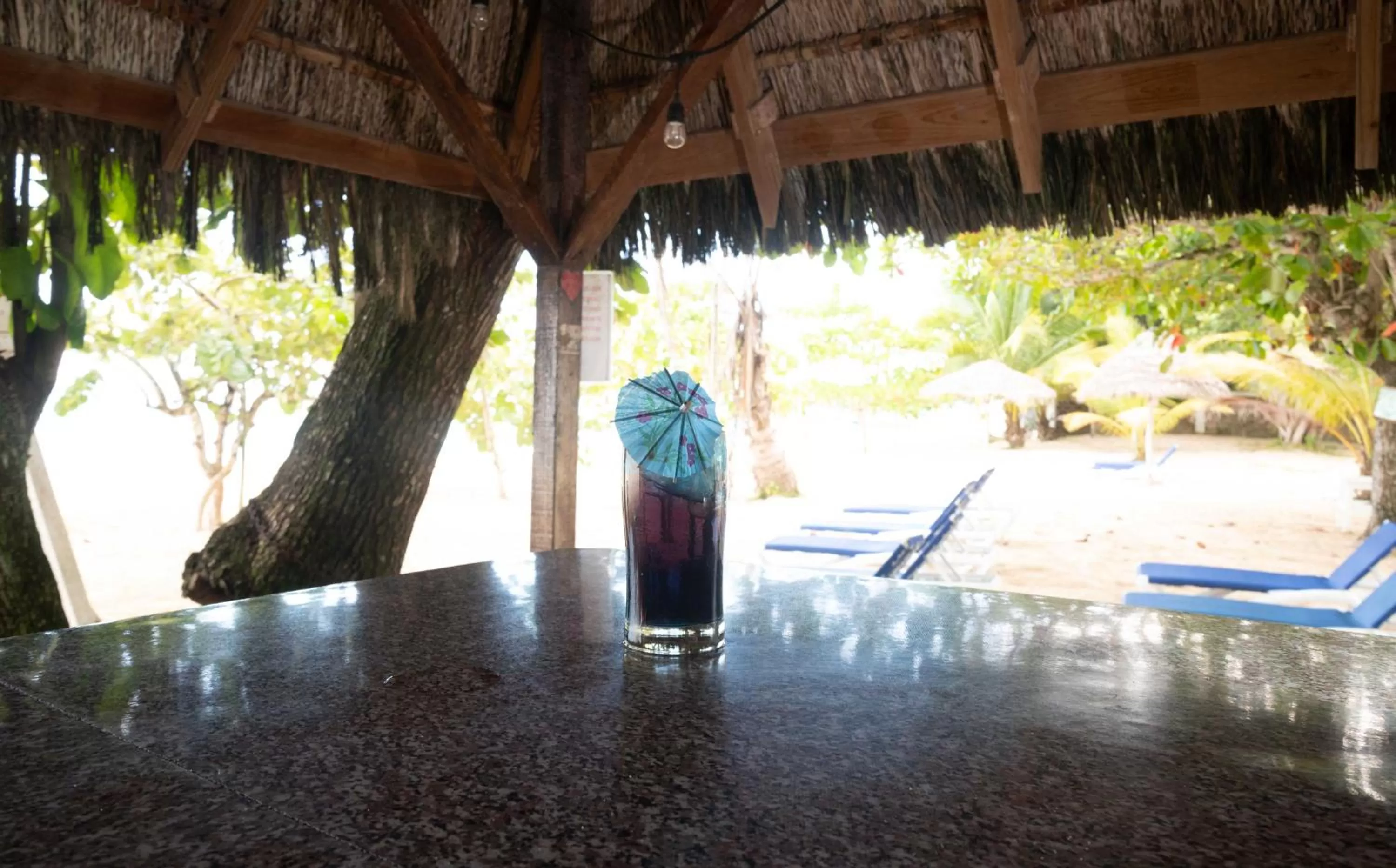 Lounge or bar in Yellow Bird Sea