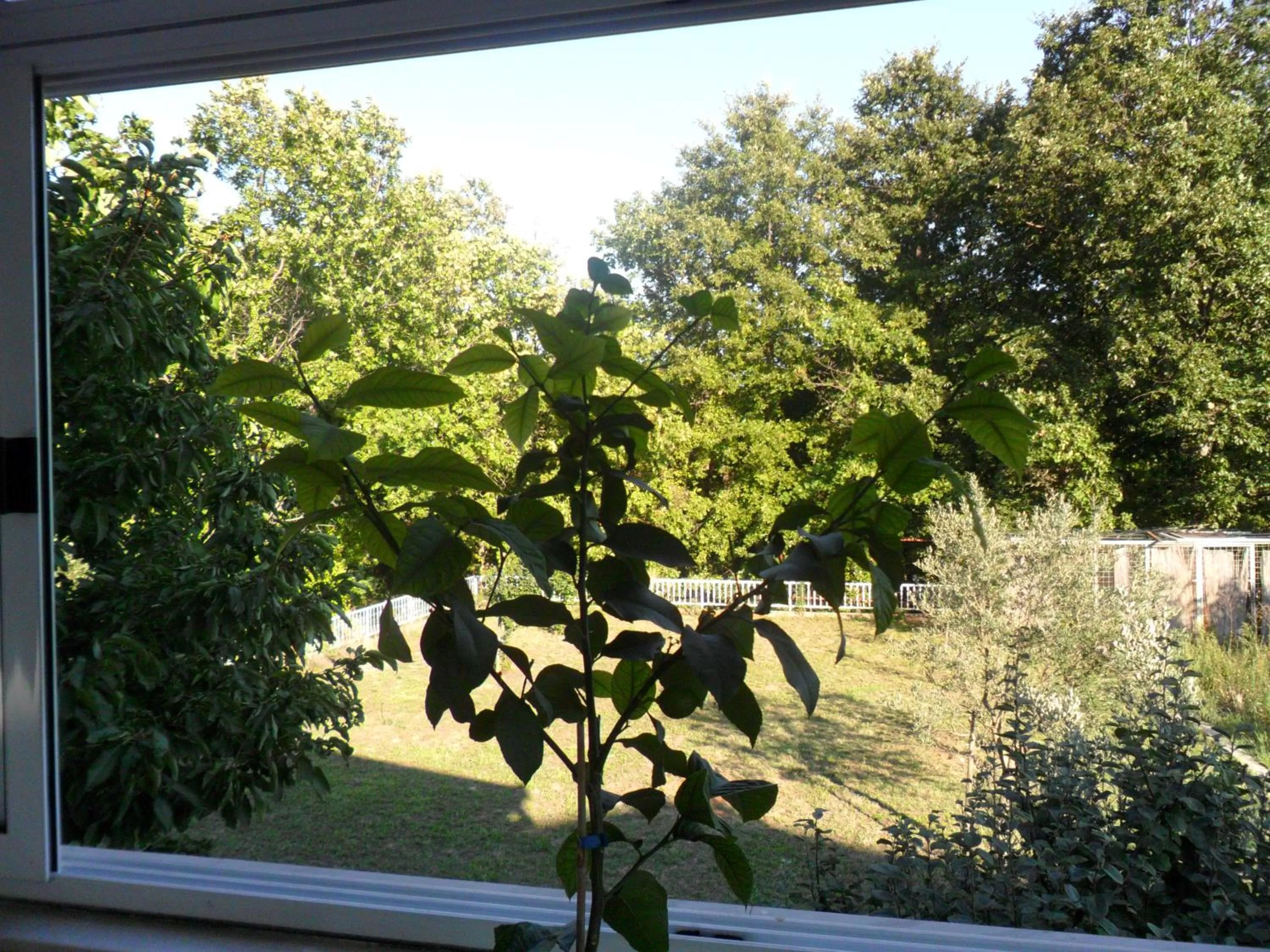 Garden view in Sobe u kucanstvu MBM