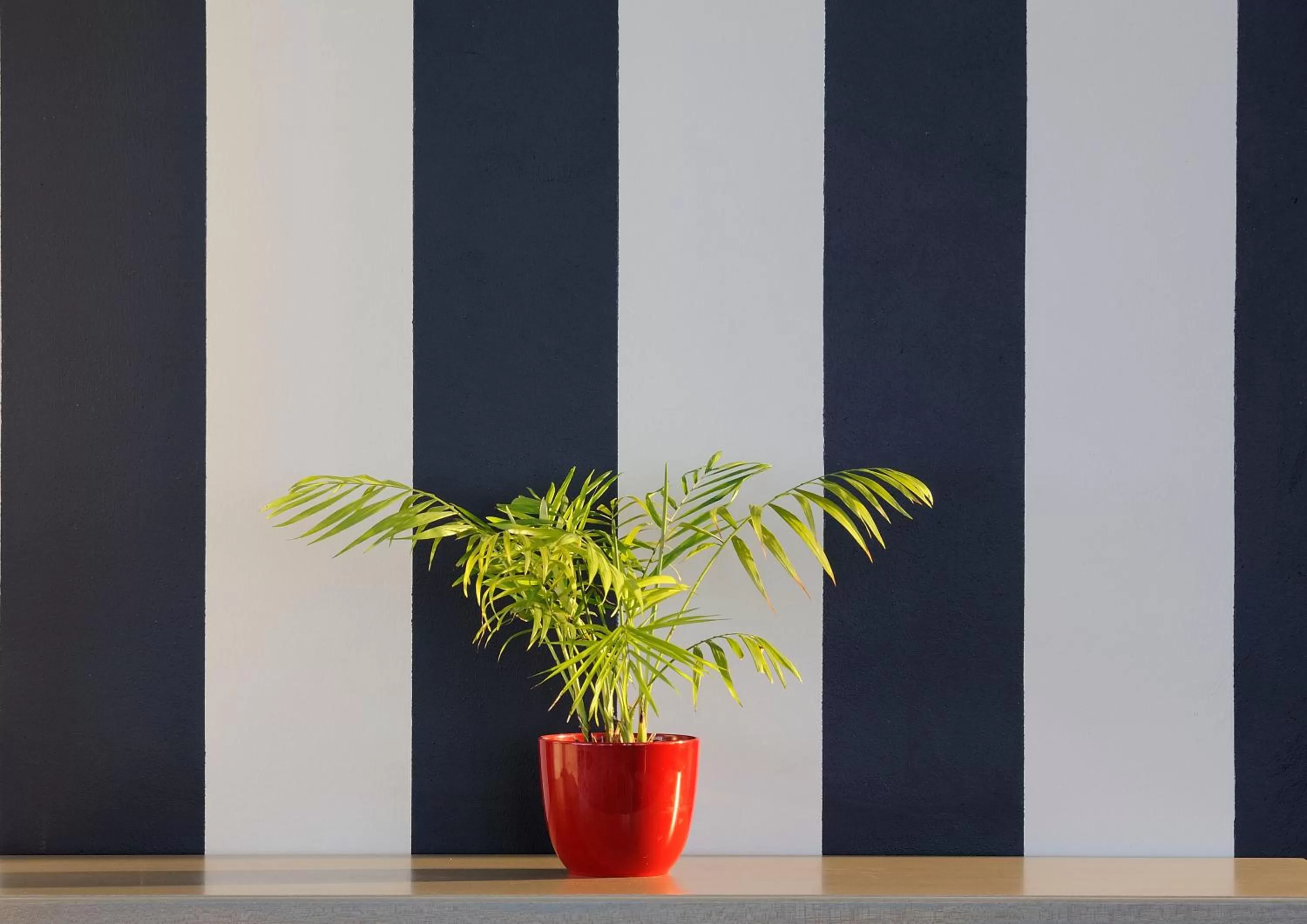 Other in Oyster Box Guesthouse