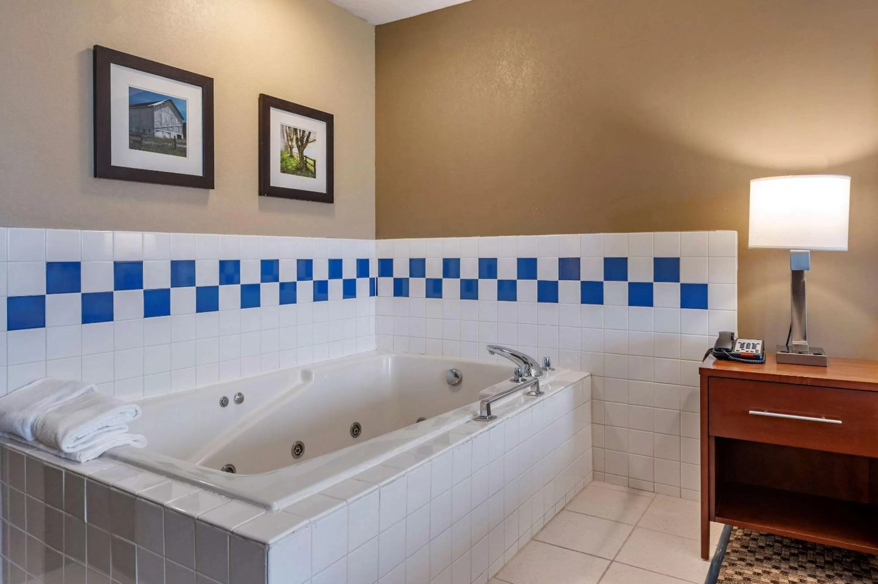 Photo of the whole room in Comfort Inn & Suites Napoleon