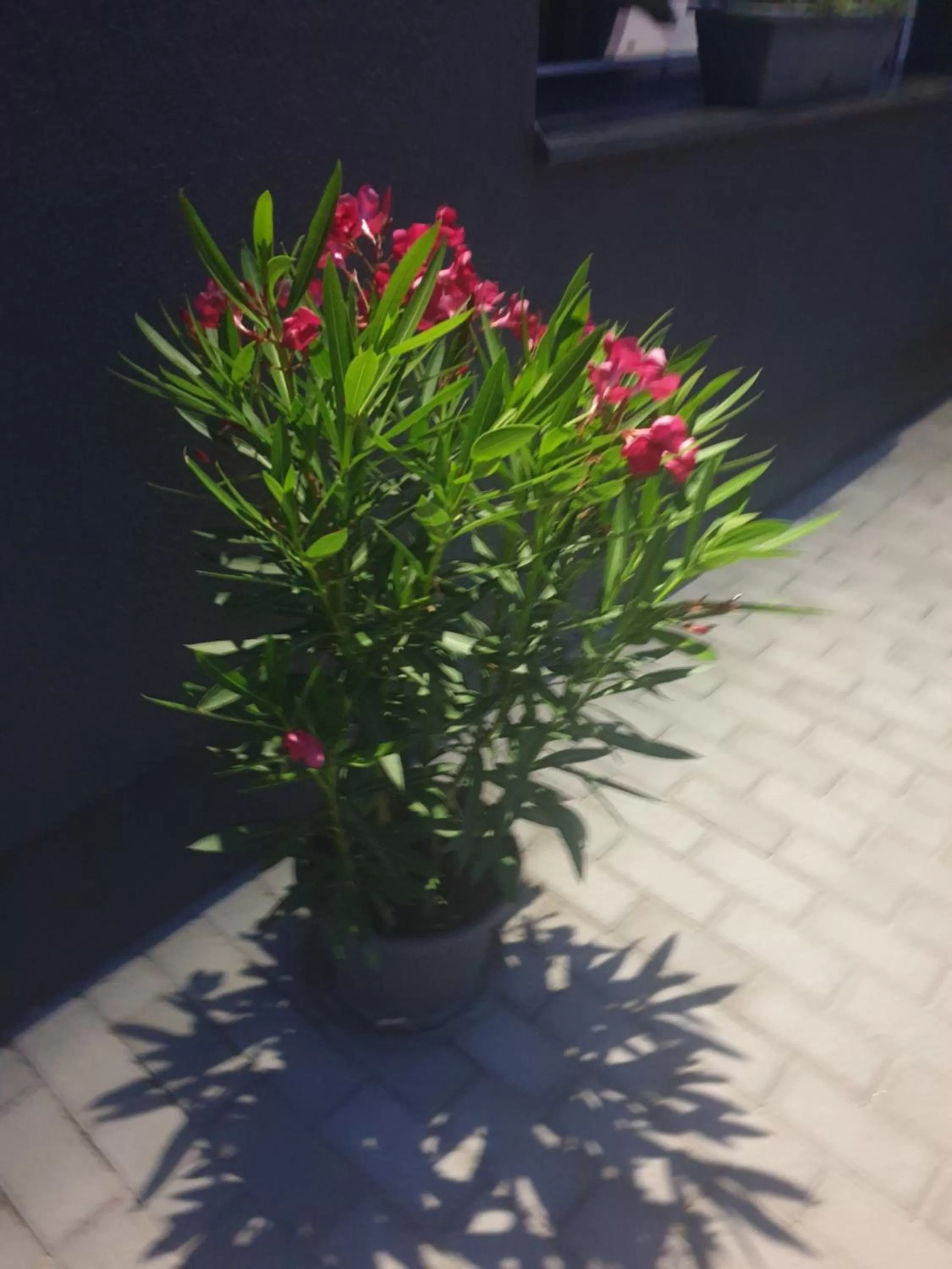 Familia Panzió & Apartmanház Győr