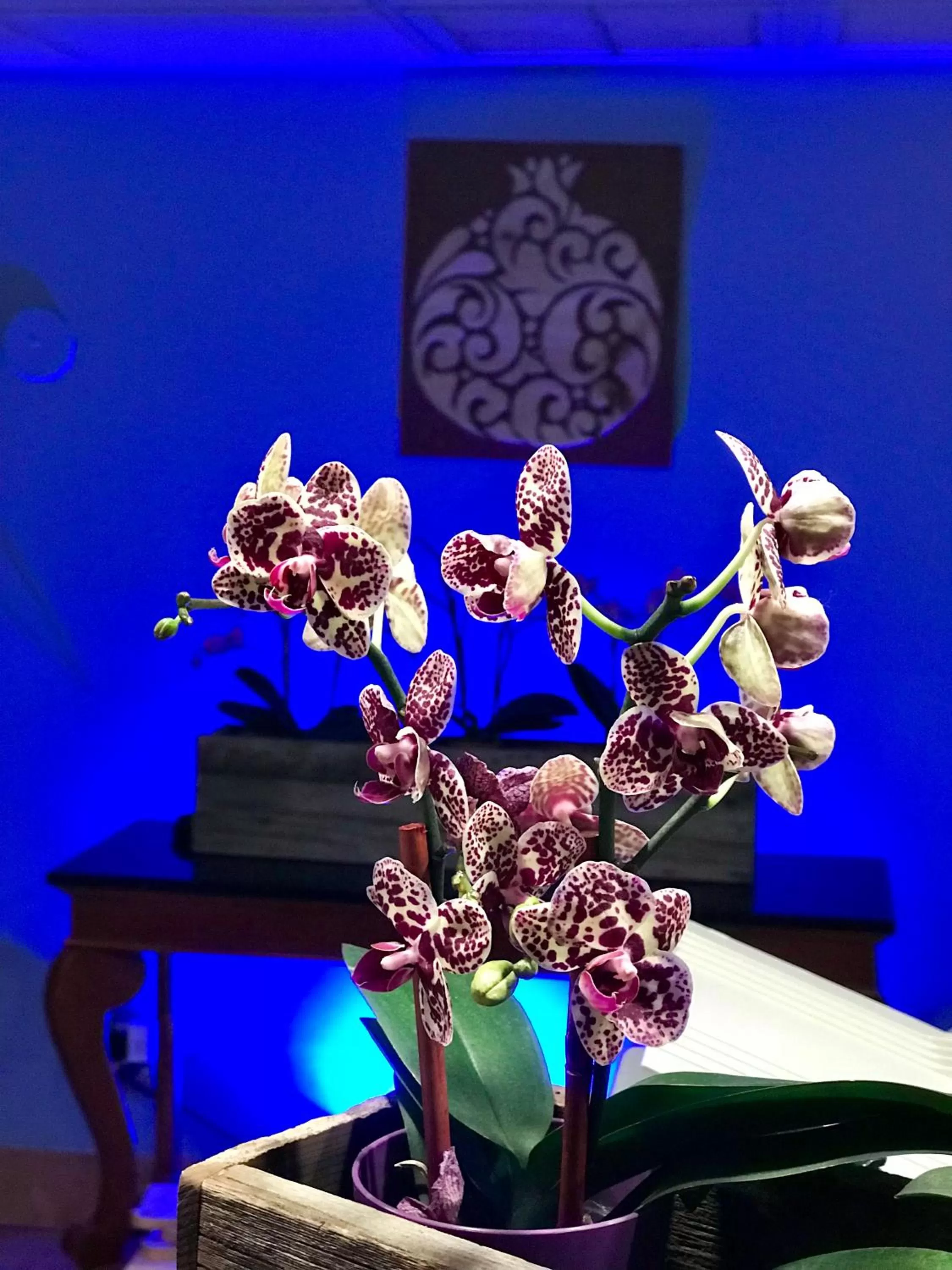 Lobby or reception in The Noor Hotel