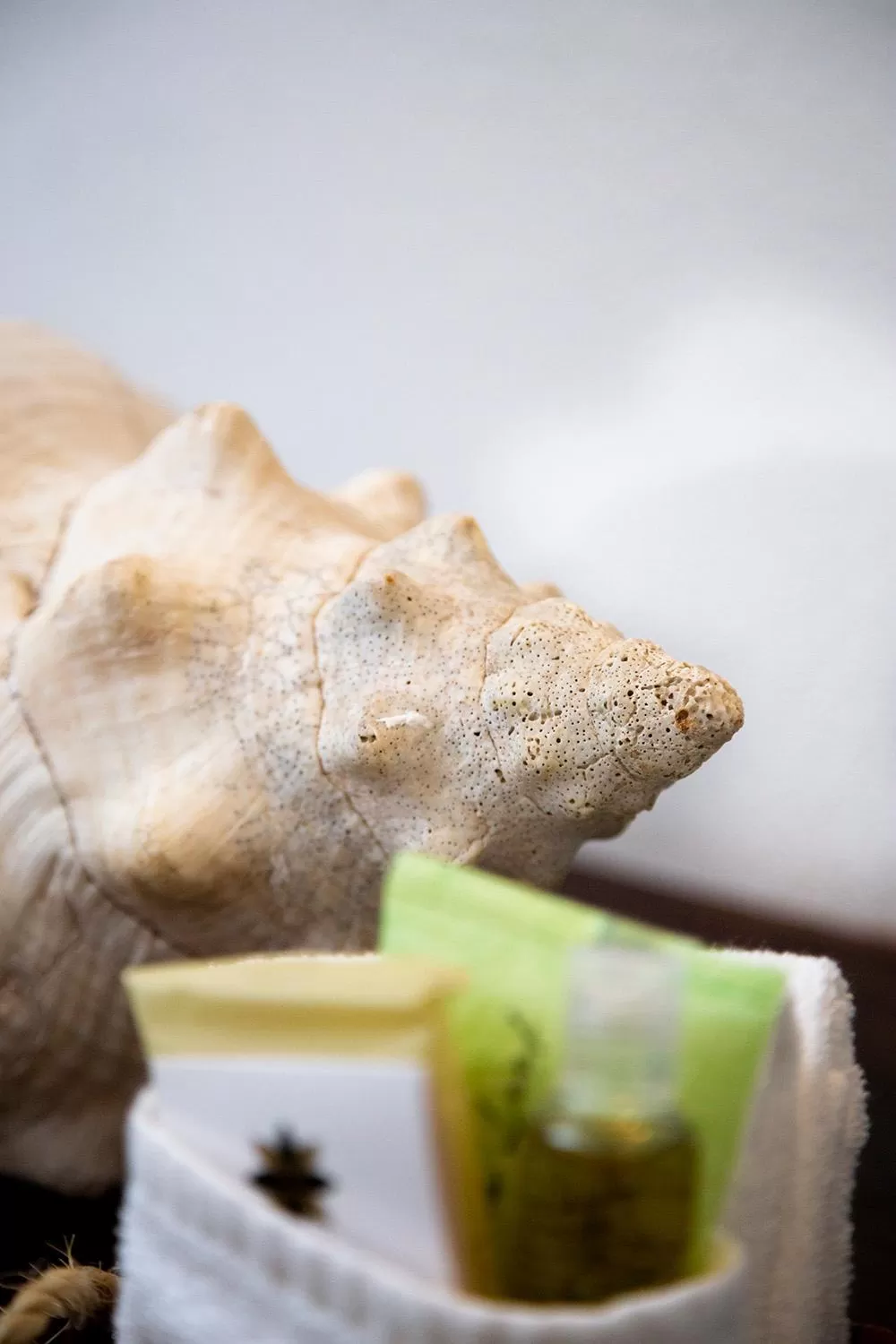 Decorative detail in Hotel Amar Inn