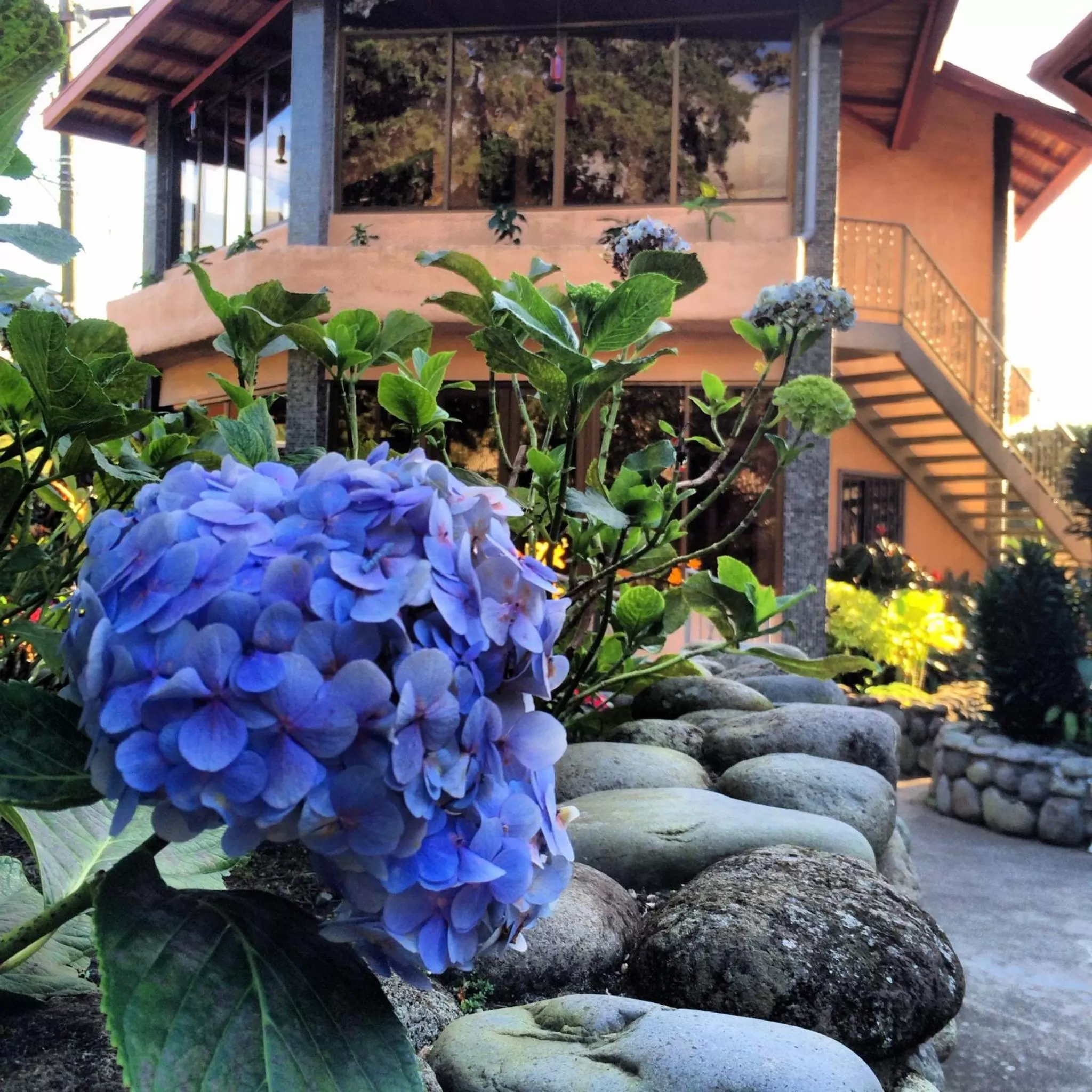 Day in The Inn at Palo Alto