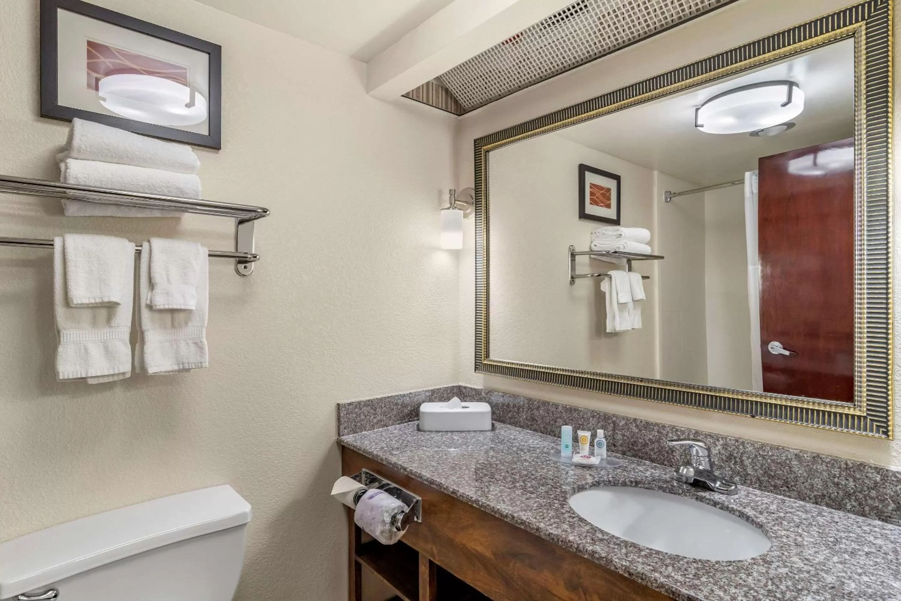 Bathroom in Comfort Inn & Suites Athens North