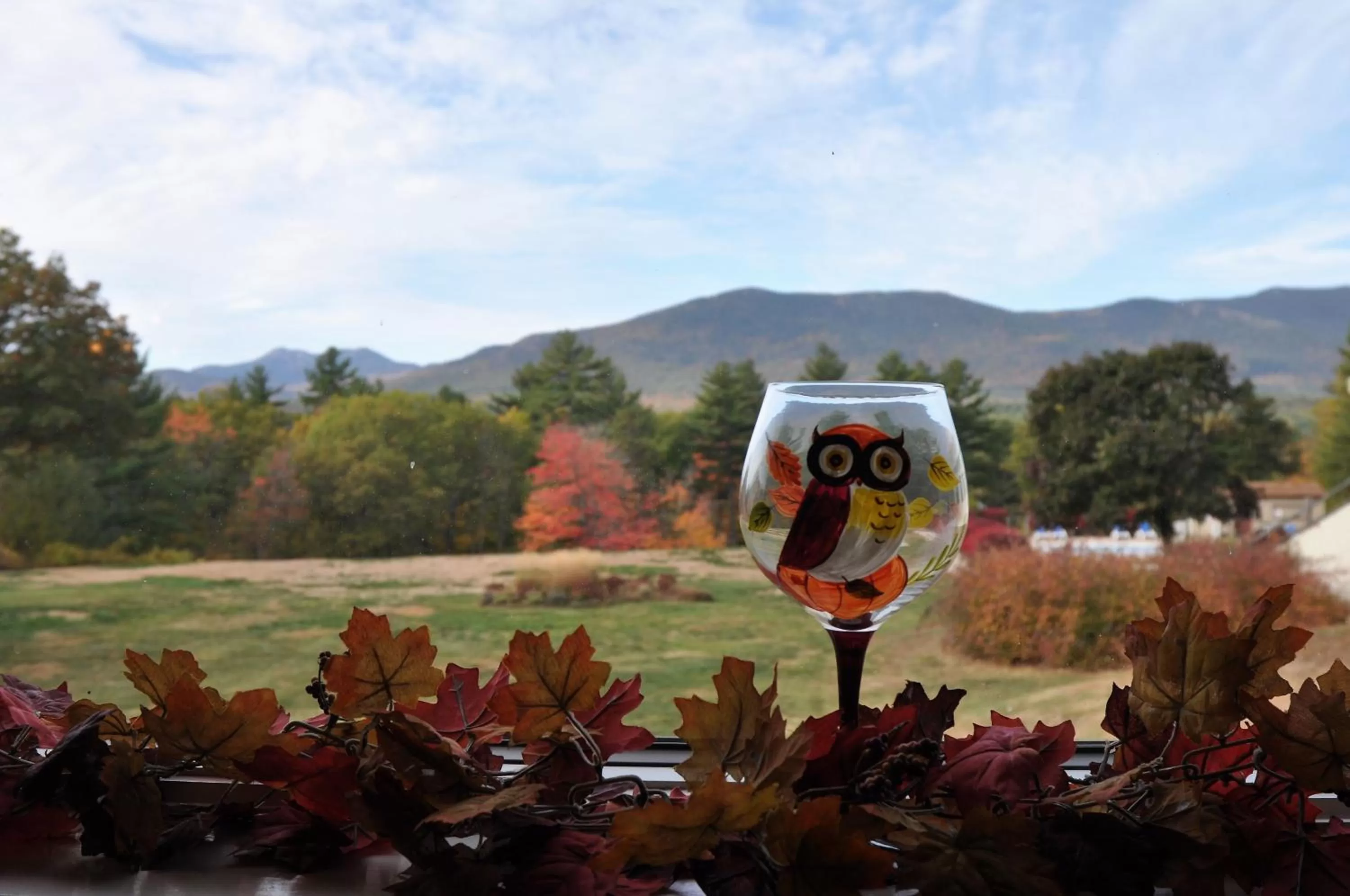 Mountain view in Fox Ridge Resort