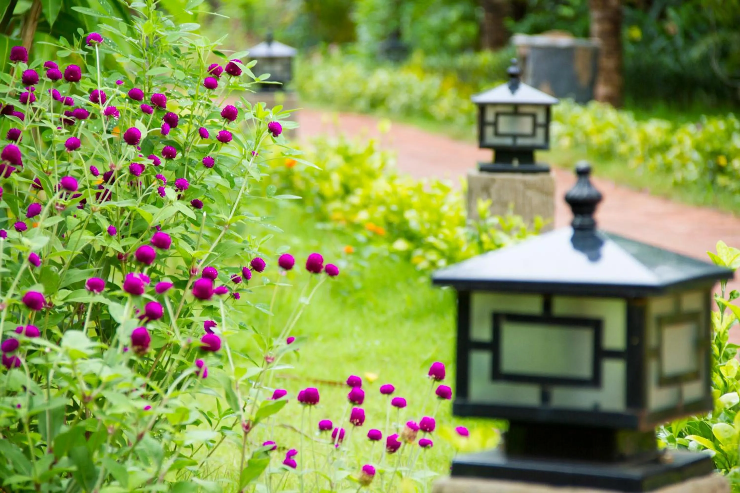 Spring in Elwood Premier Resort Phu Quoc