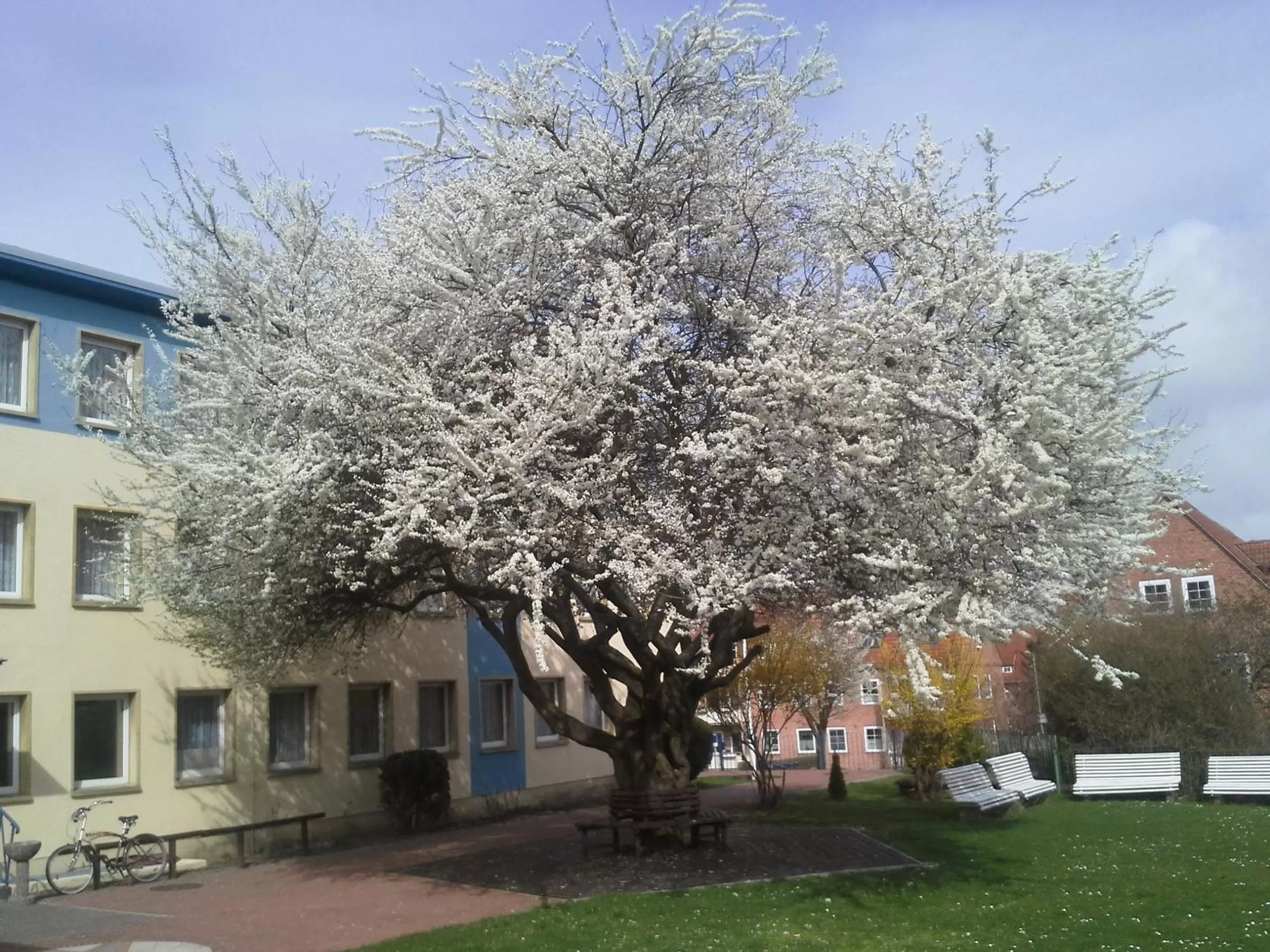 Property building in Hotel Bertramshof