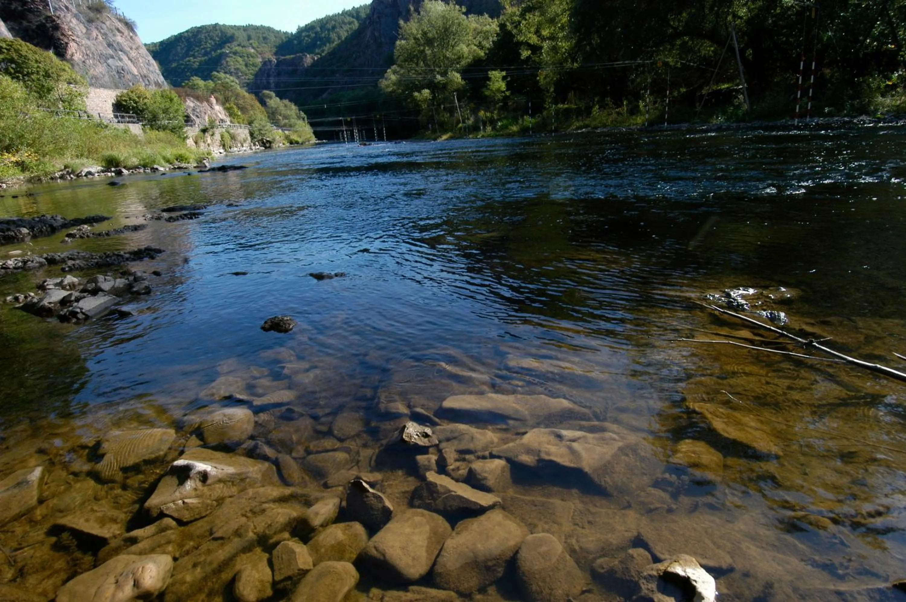 Area and facilities in Hotel Engel