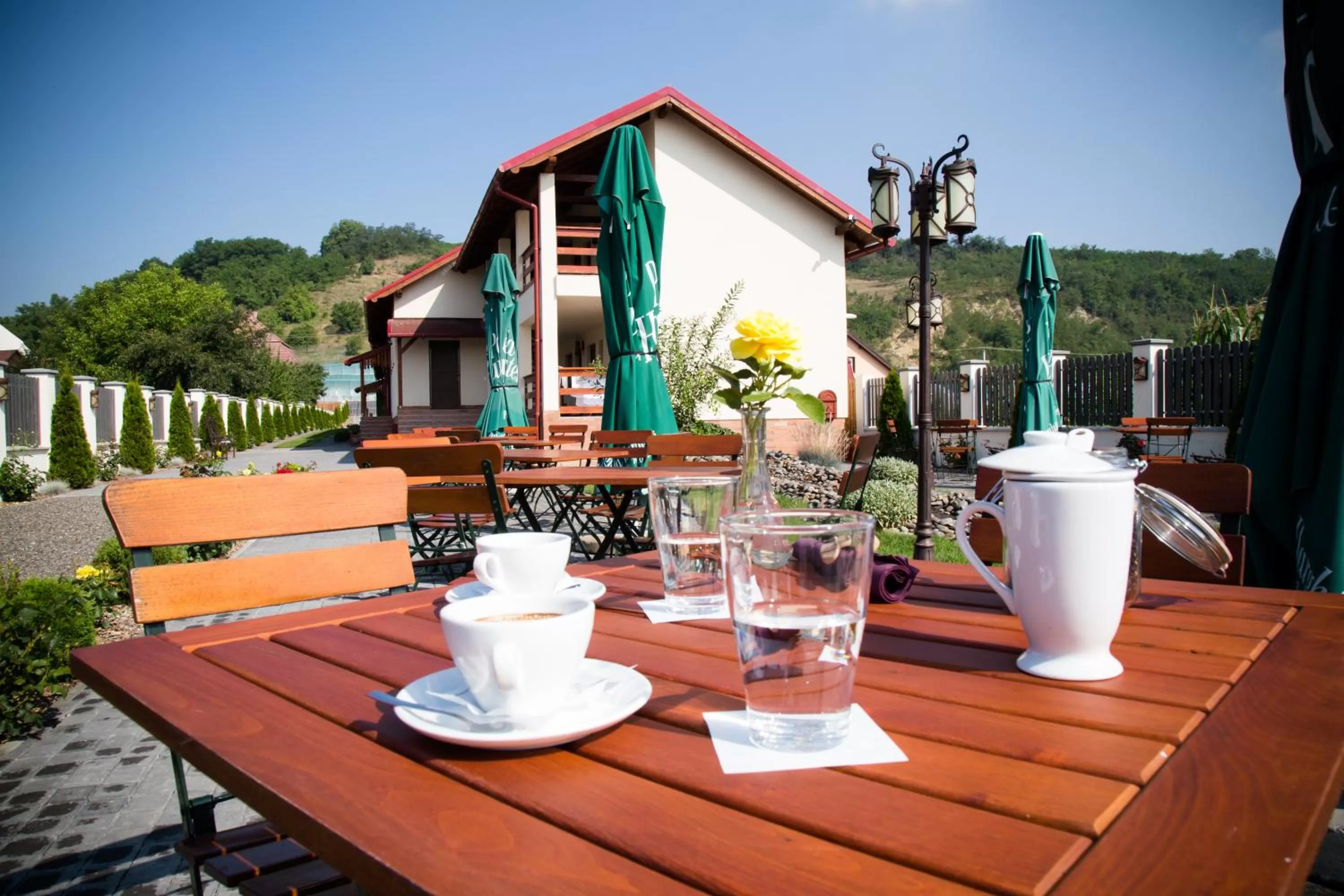 Garden in Country Court