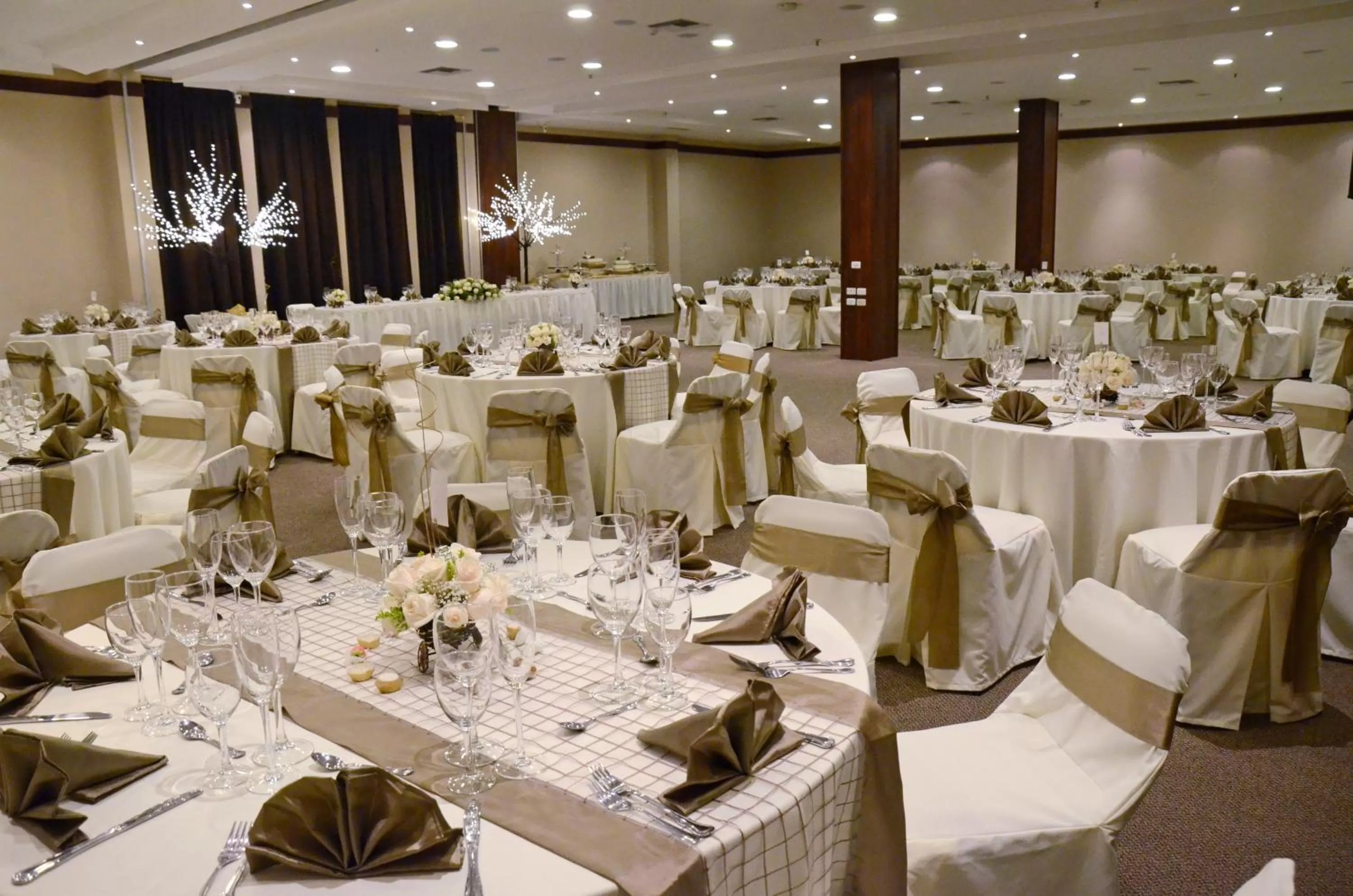 Banquet/Function facilities in Fenix Hotel