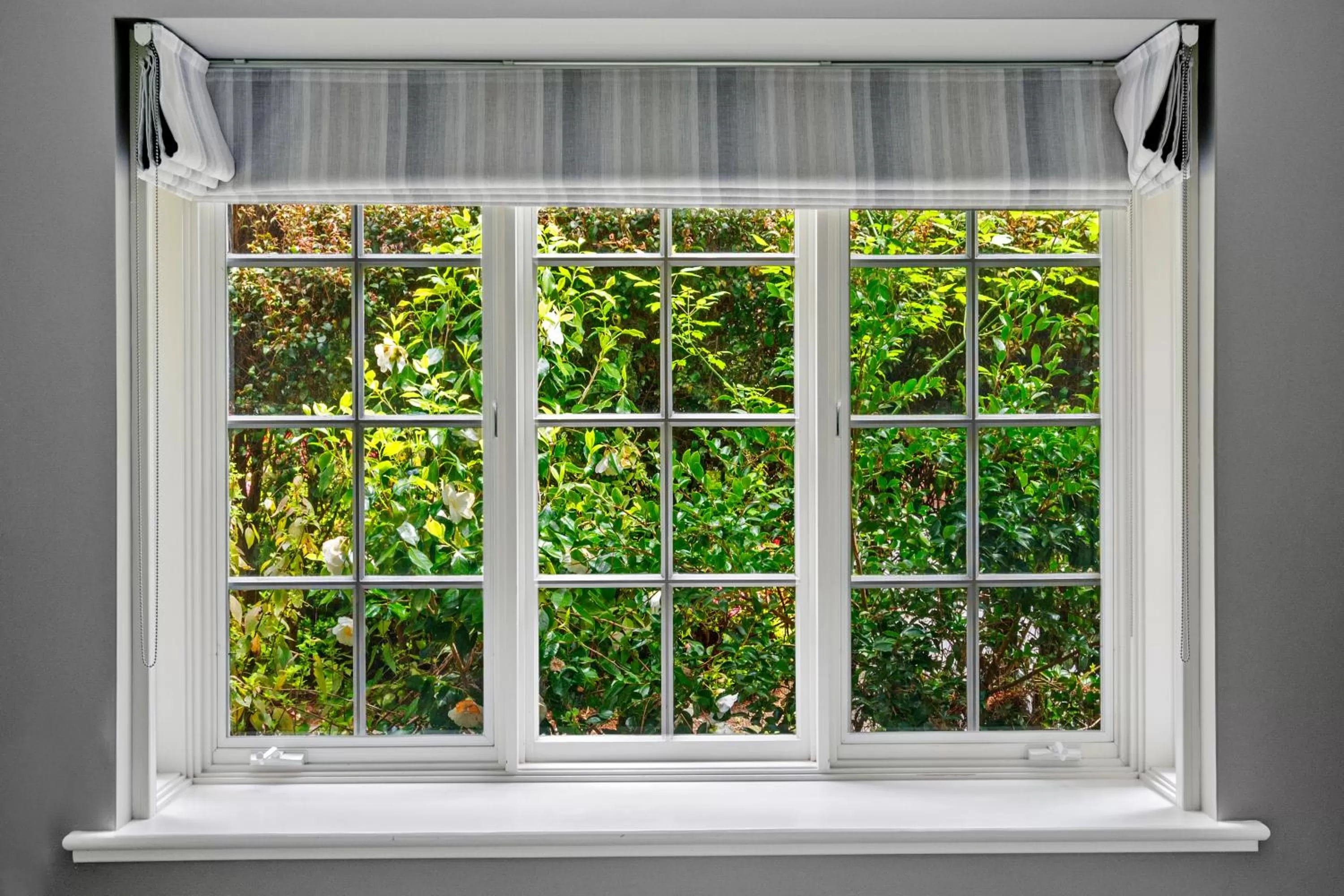 Garden view in Parklands Country Gardens & Lodges Blue Mountains