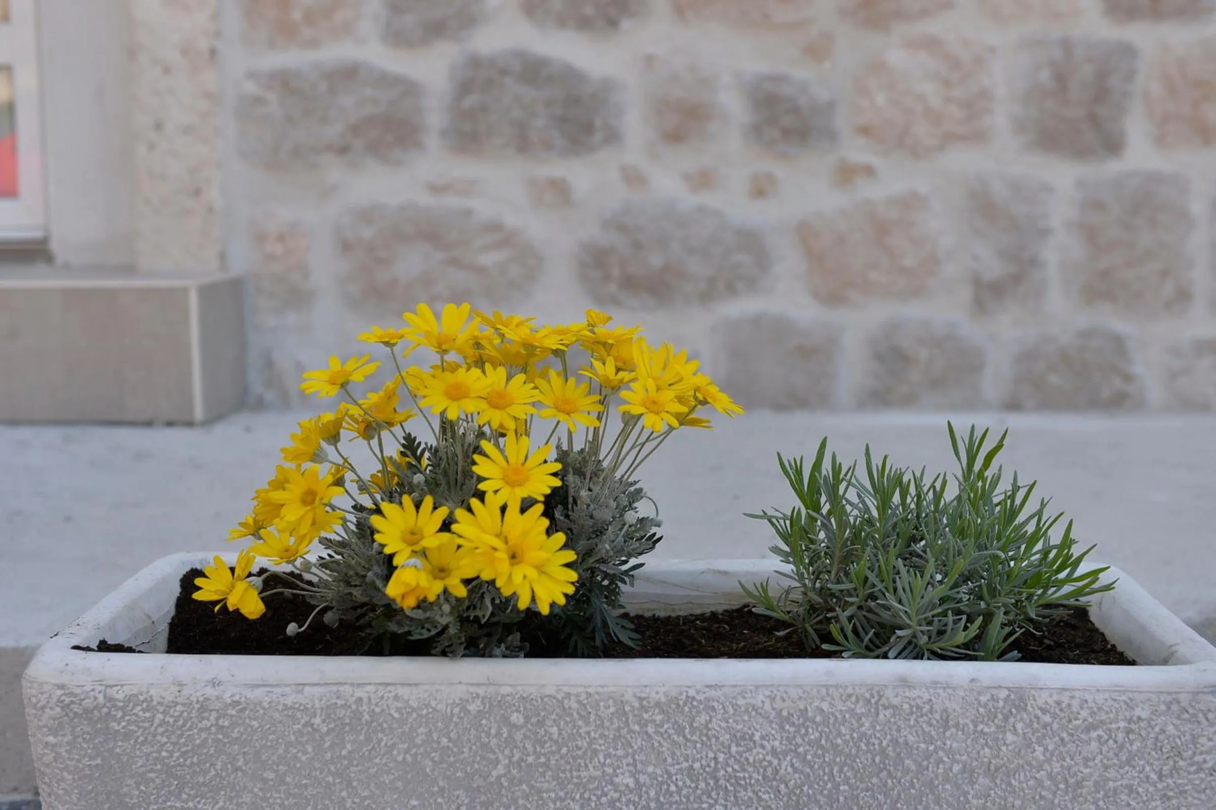 Balcony/Terrace in Hostel Pupa