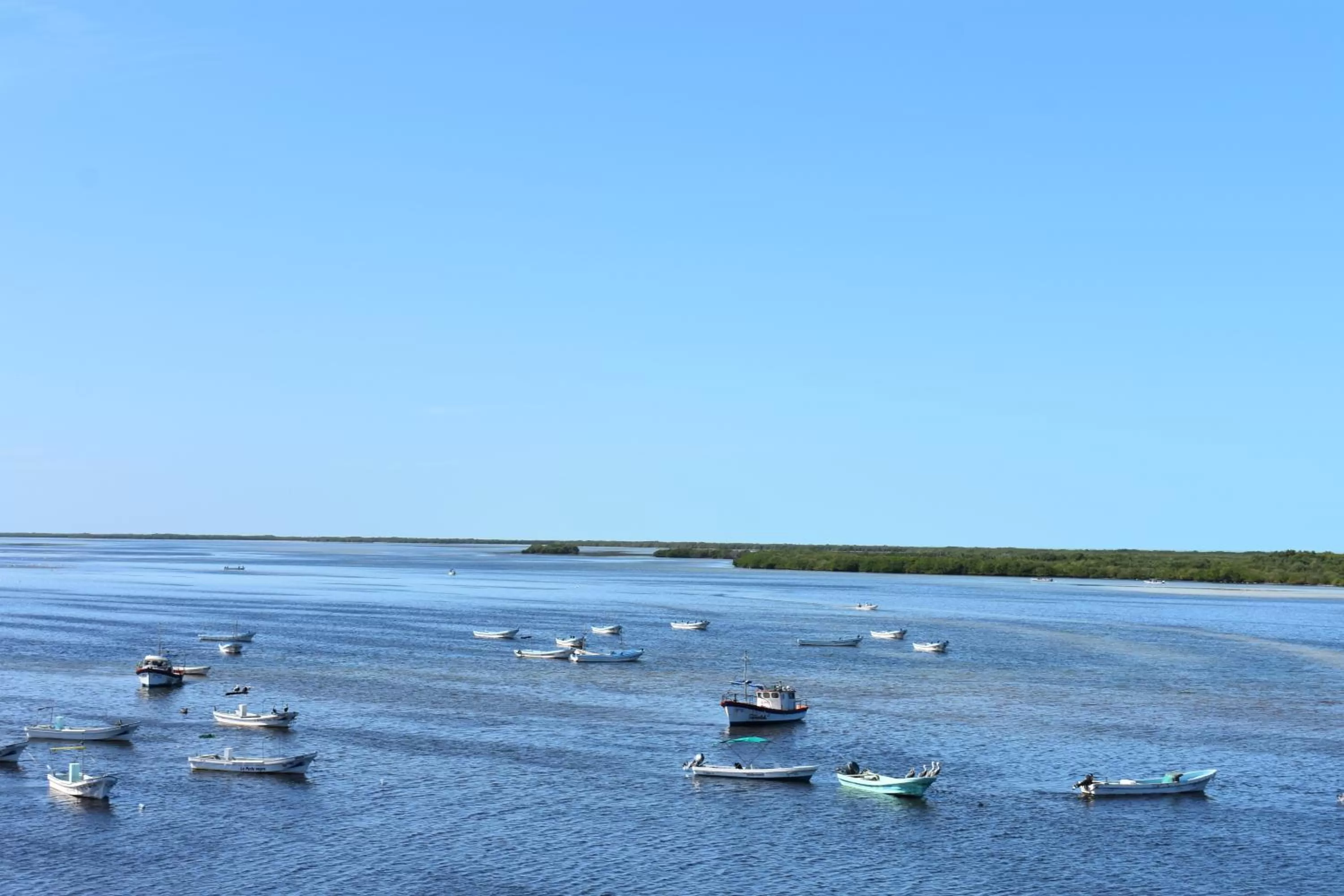 River view in Hotel Rio Lagartos