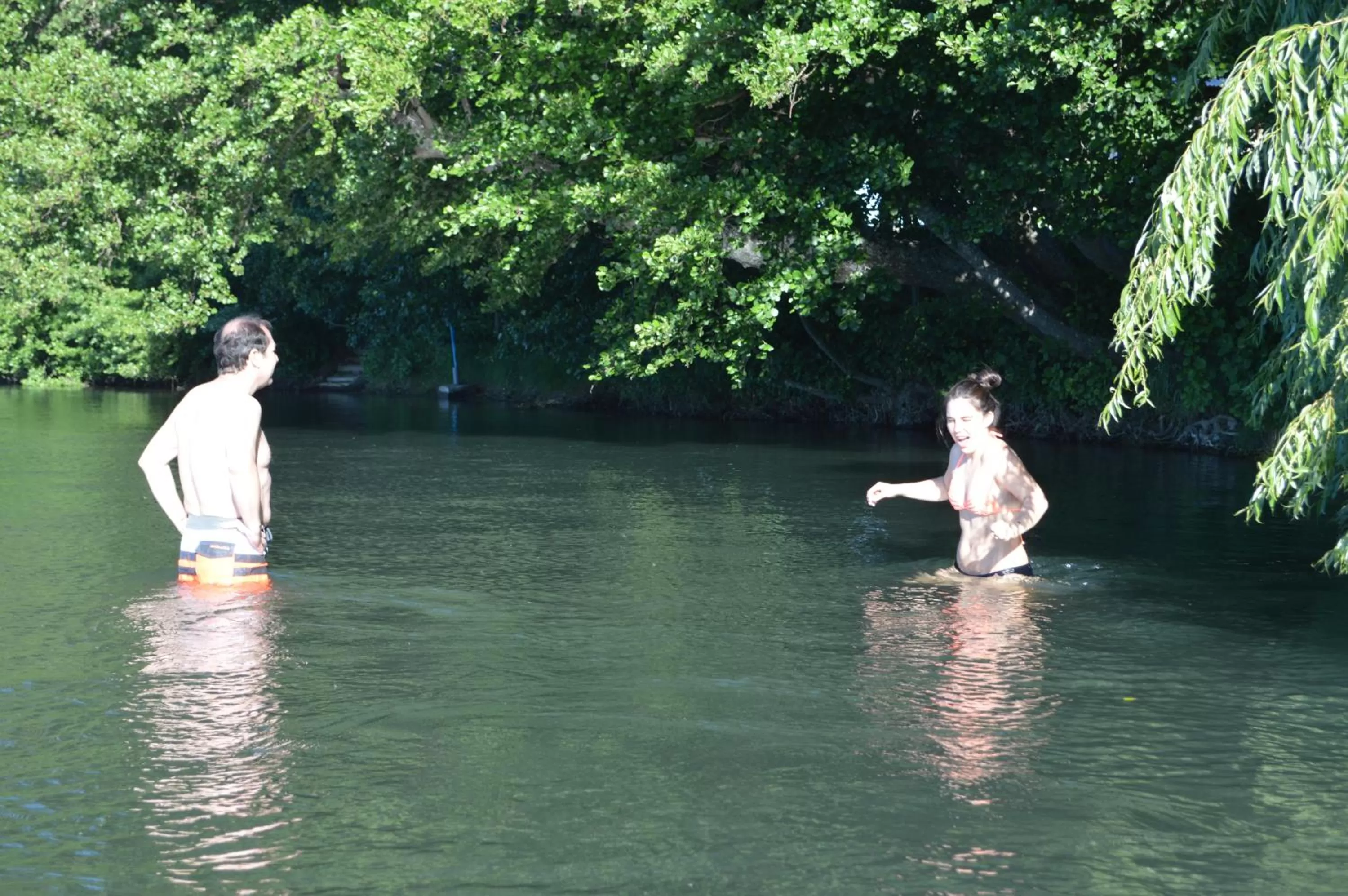 Coyunche Cabañas y Camping Laja & San Rosendo