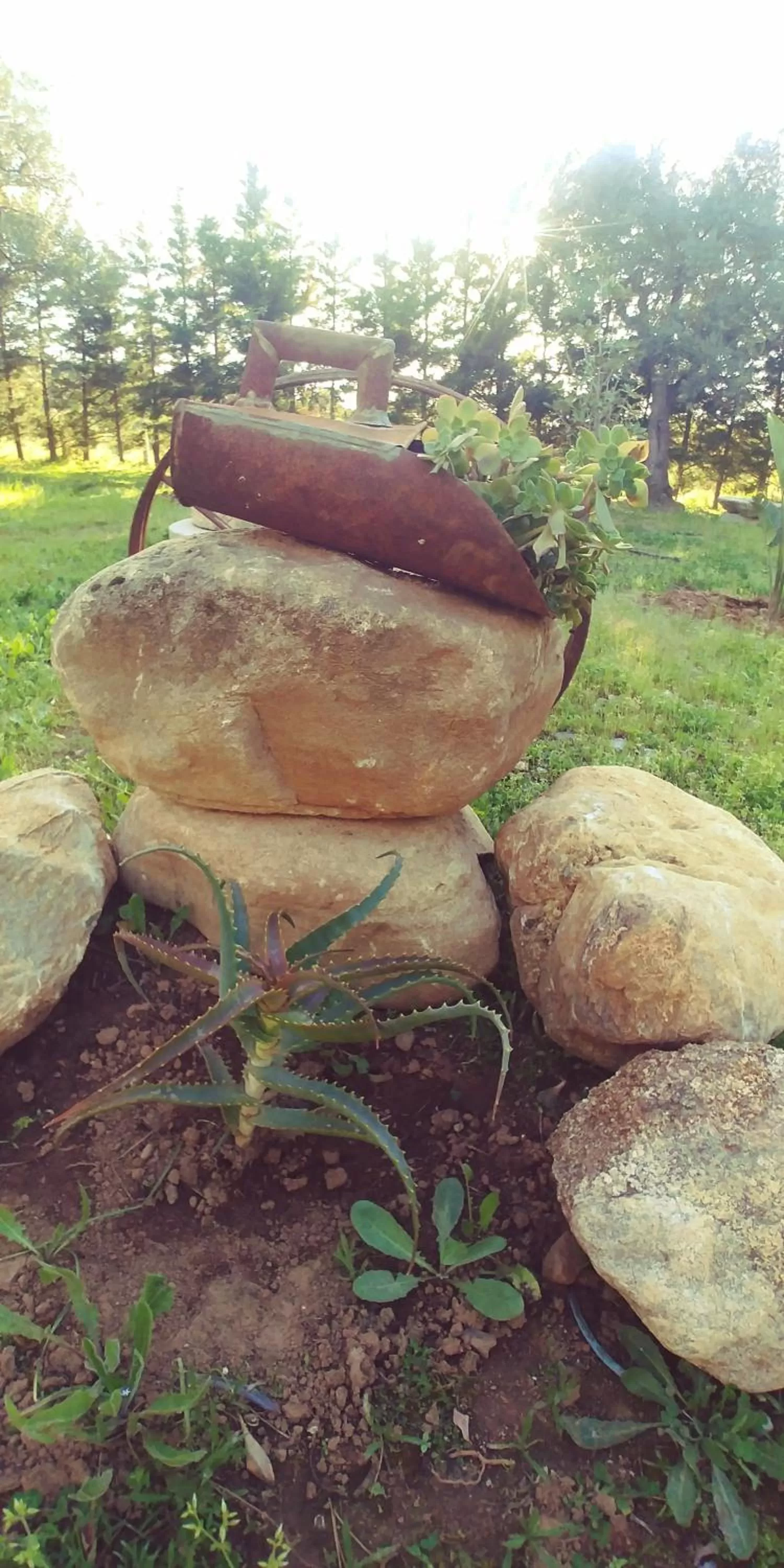 Garden in La Piana degli Ulivi