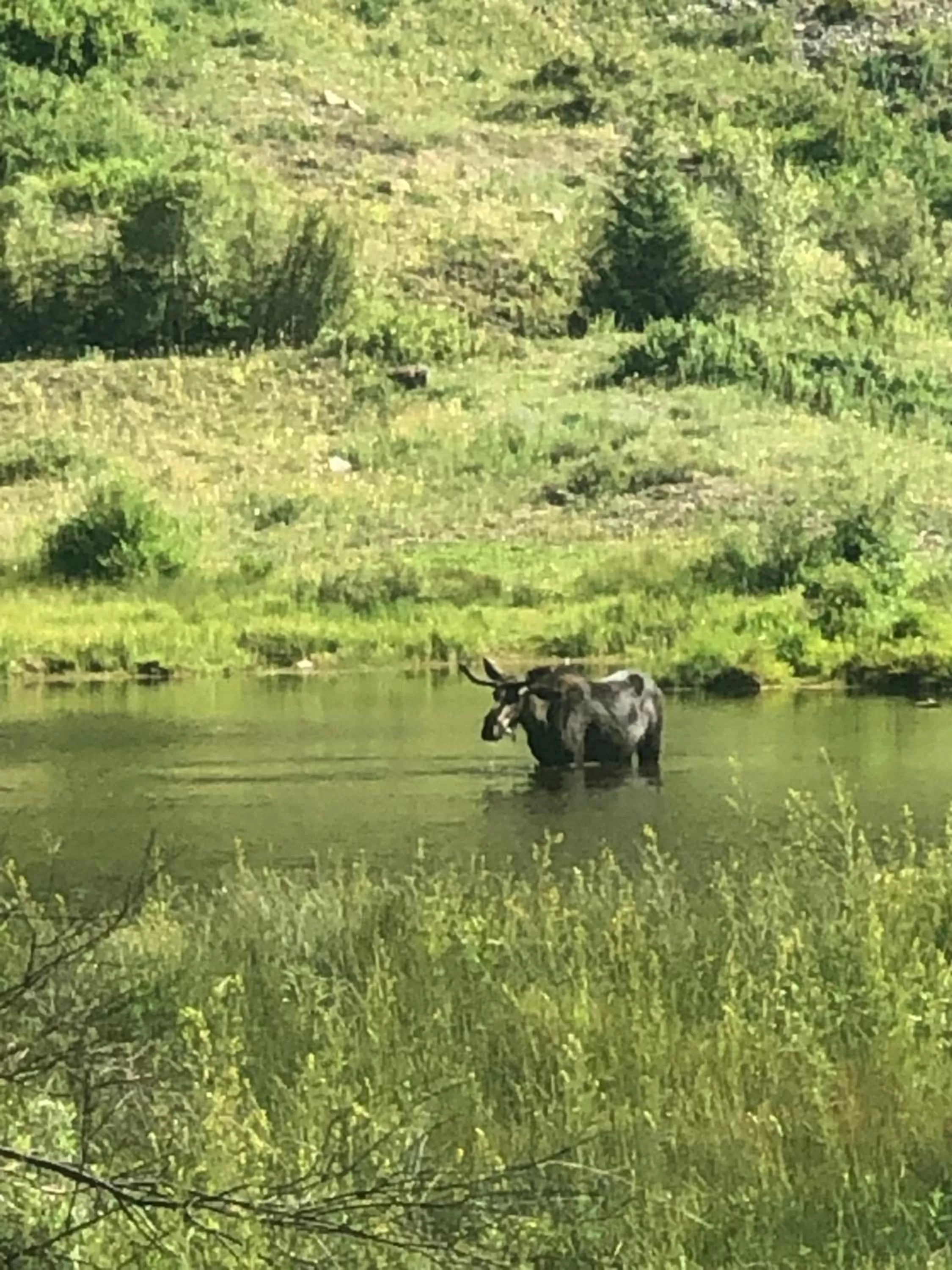 Natural landscape in Villa Dallavalle Inn