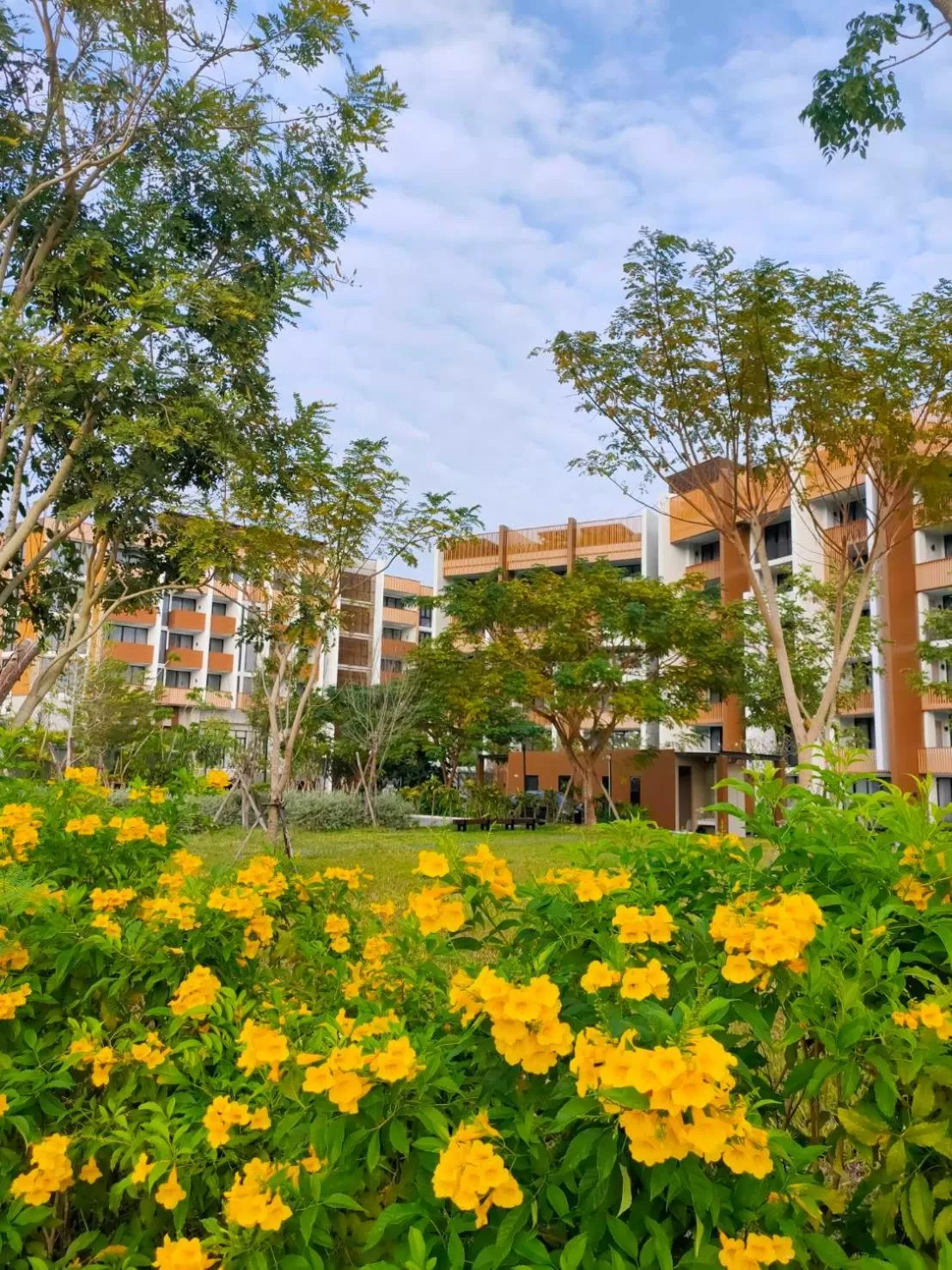 Property building in iSanook Resort & Suites Hua Hin