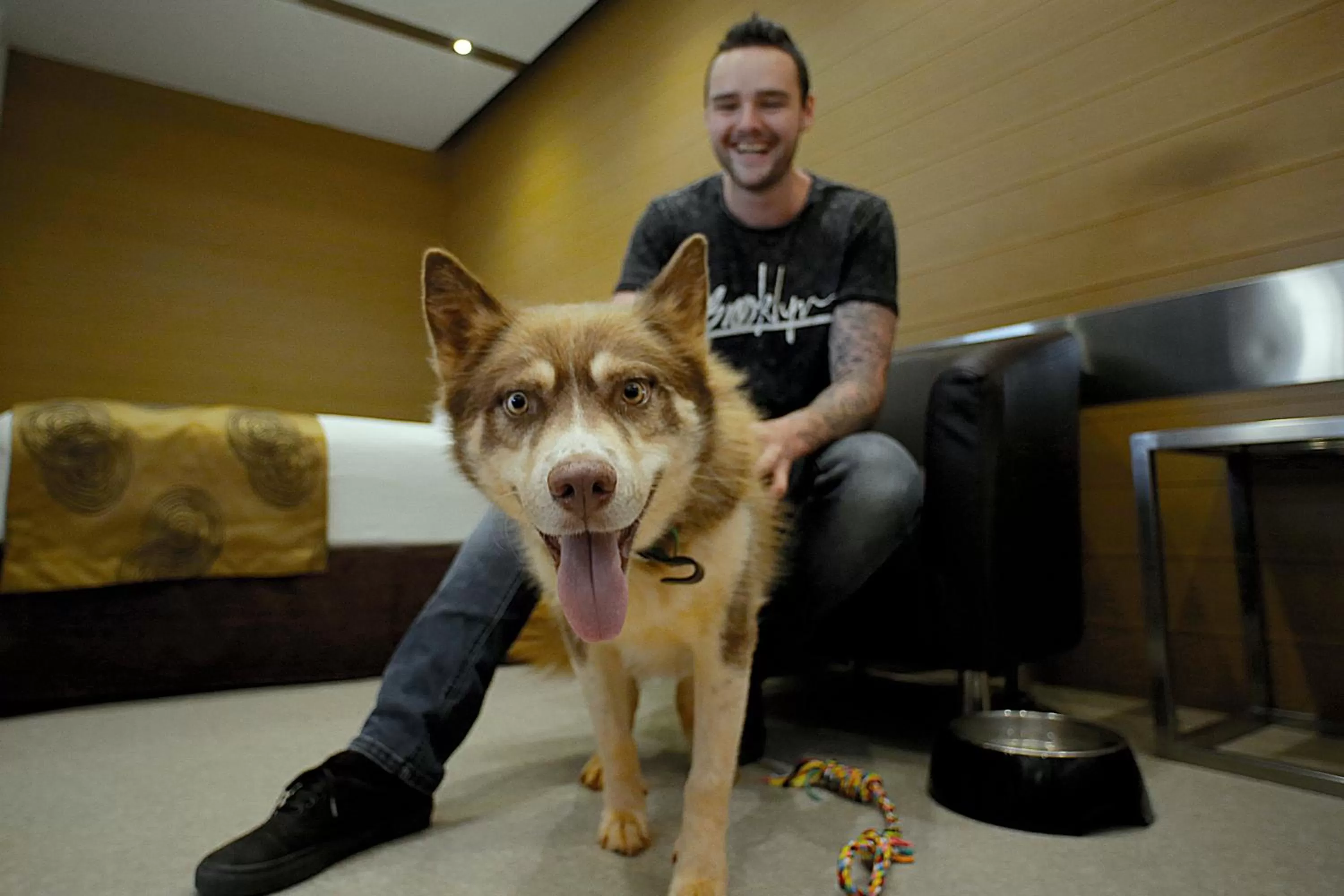 Pets in Trip Motel Gatton