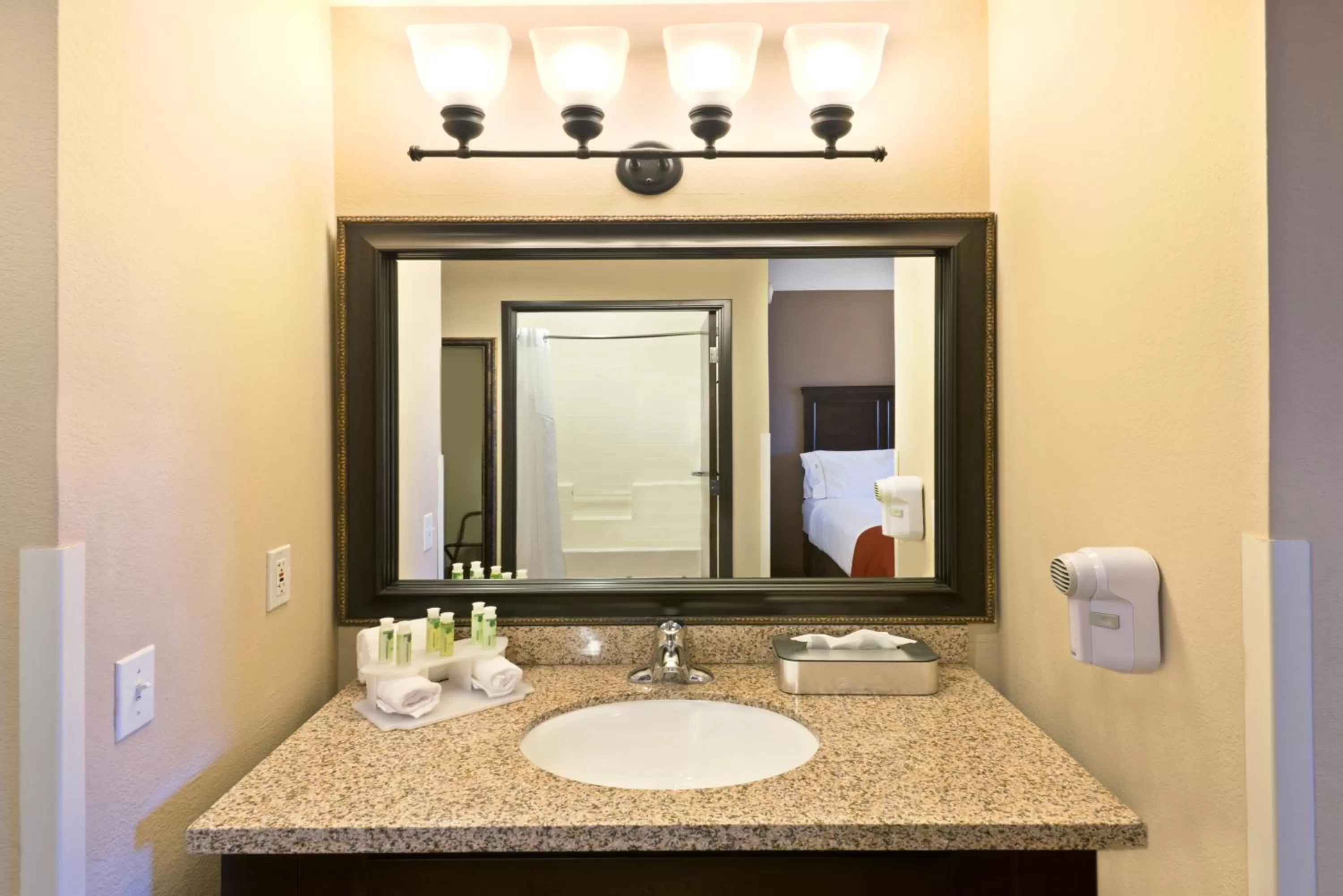 Bathroom in Holiday Inn Express Show Low by IHG