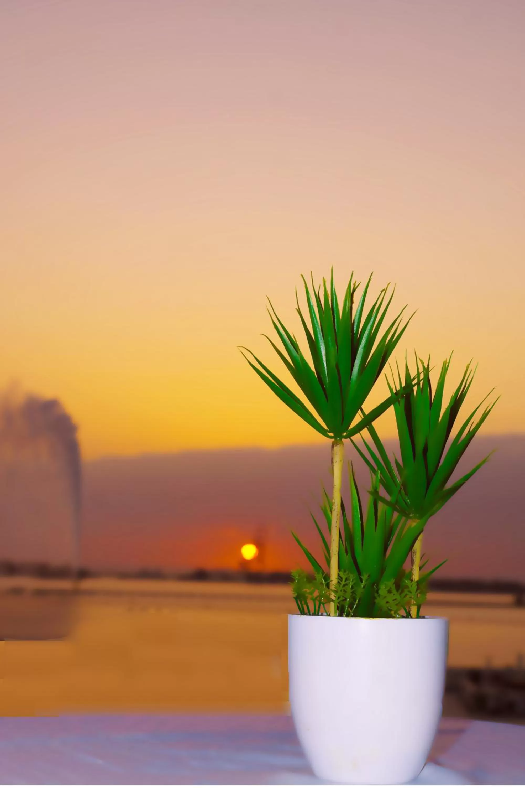 Natural landscape in Rahhal AlBahr Serviced Apartments