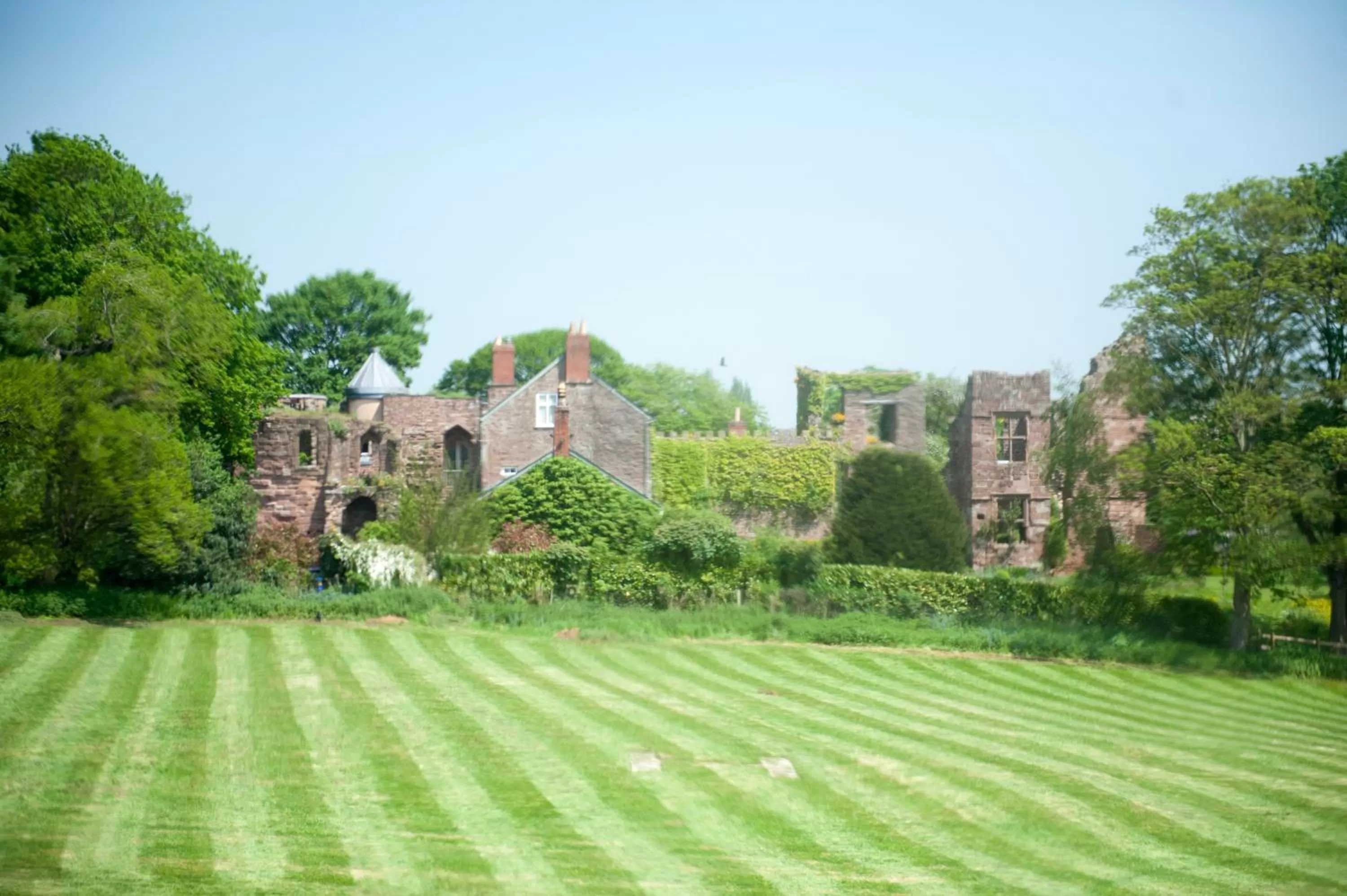 Day, Garden in The Bridge House