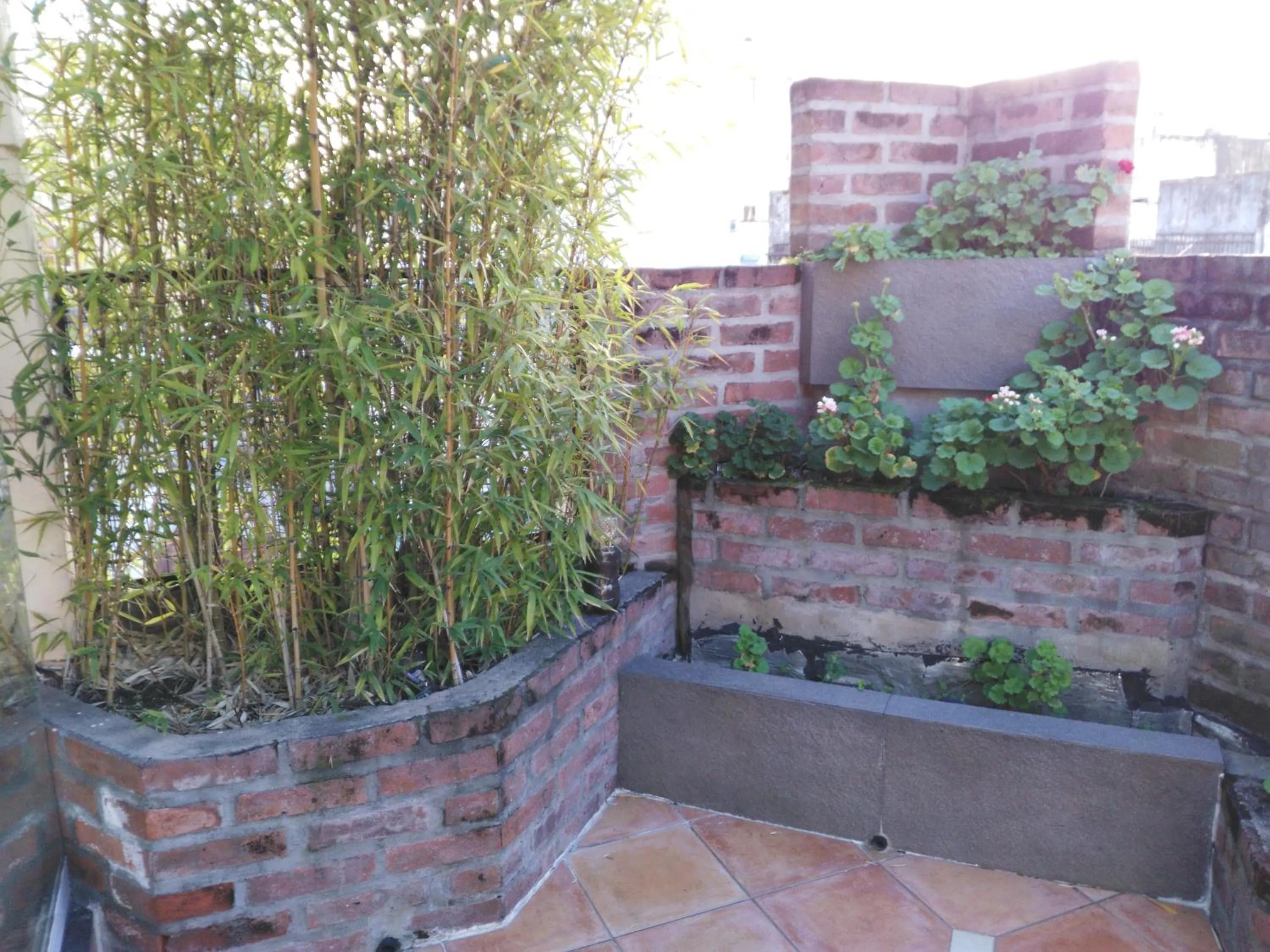 Balcony/Terrace in Hotel A&B Internacional