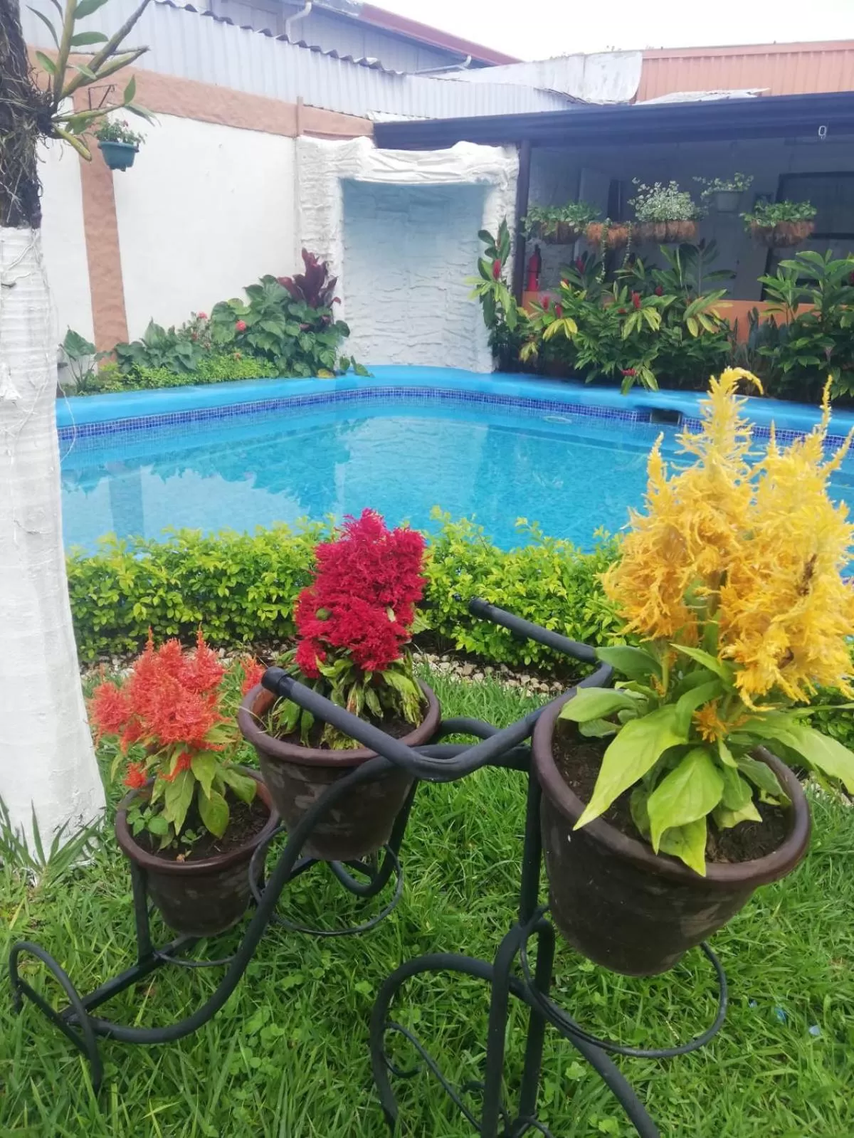 Garden in Berlor Airport Inn