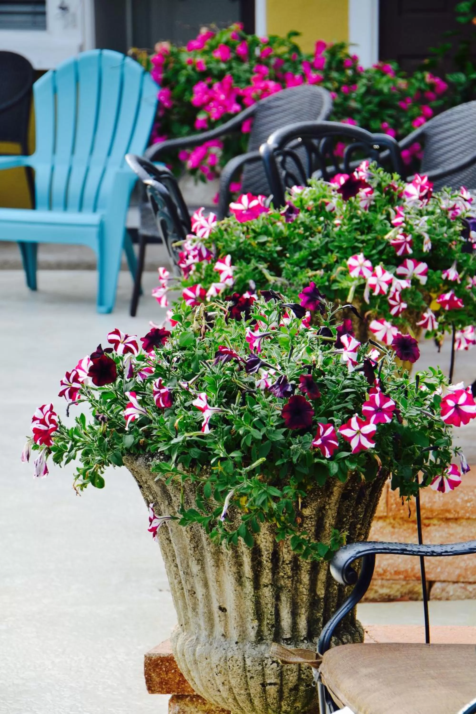 Property building in Sea Turtle Inn