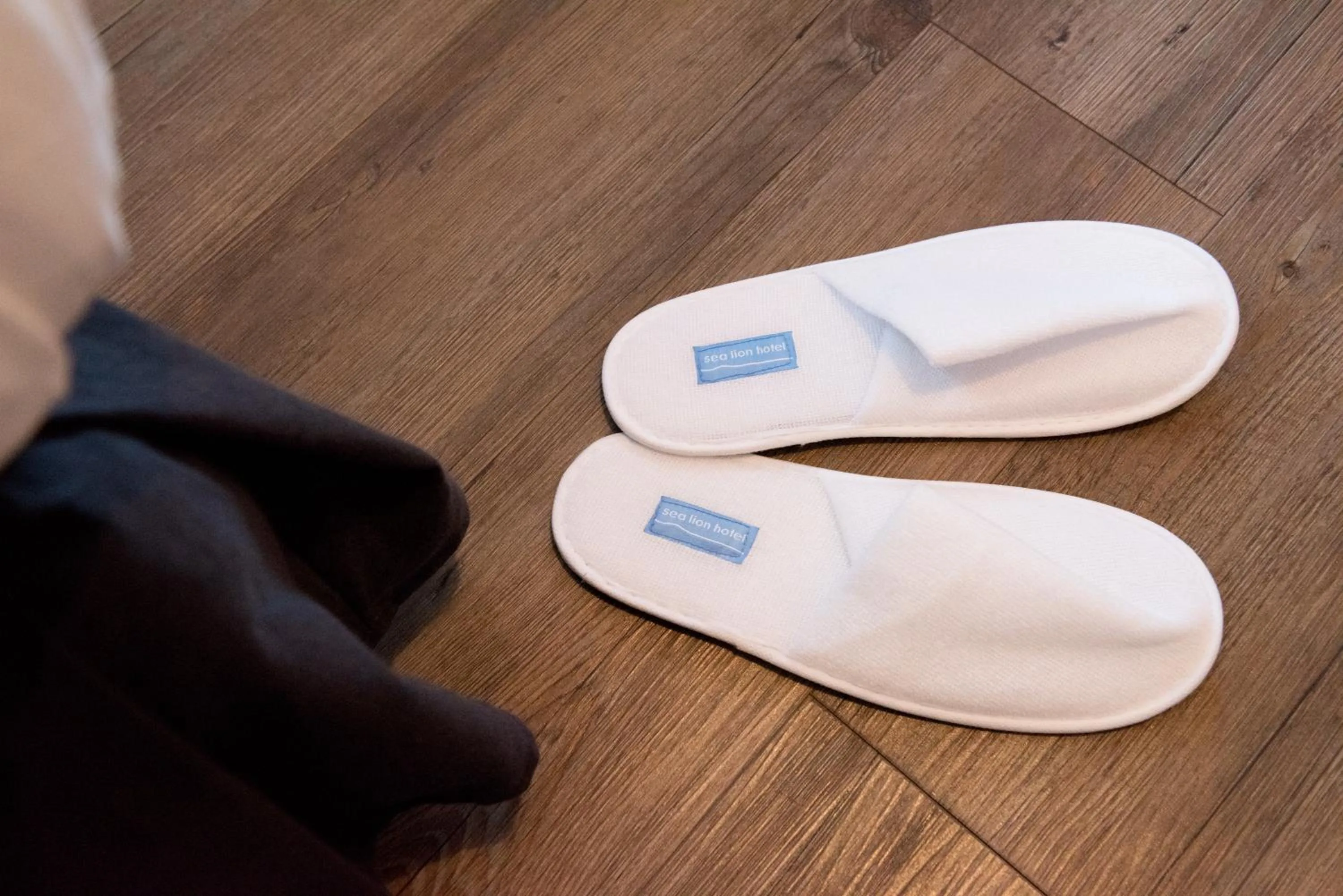 Single Room in Sea Lion Hotel