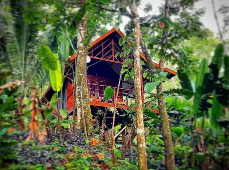 Other in Surf Break at Paunch