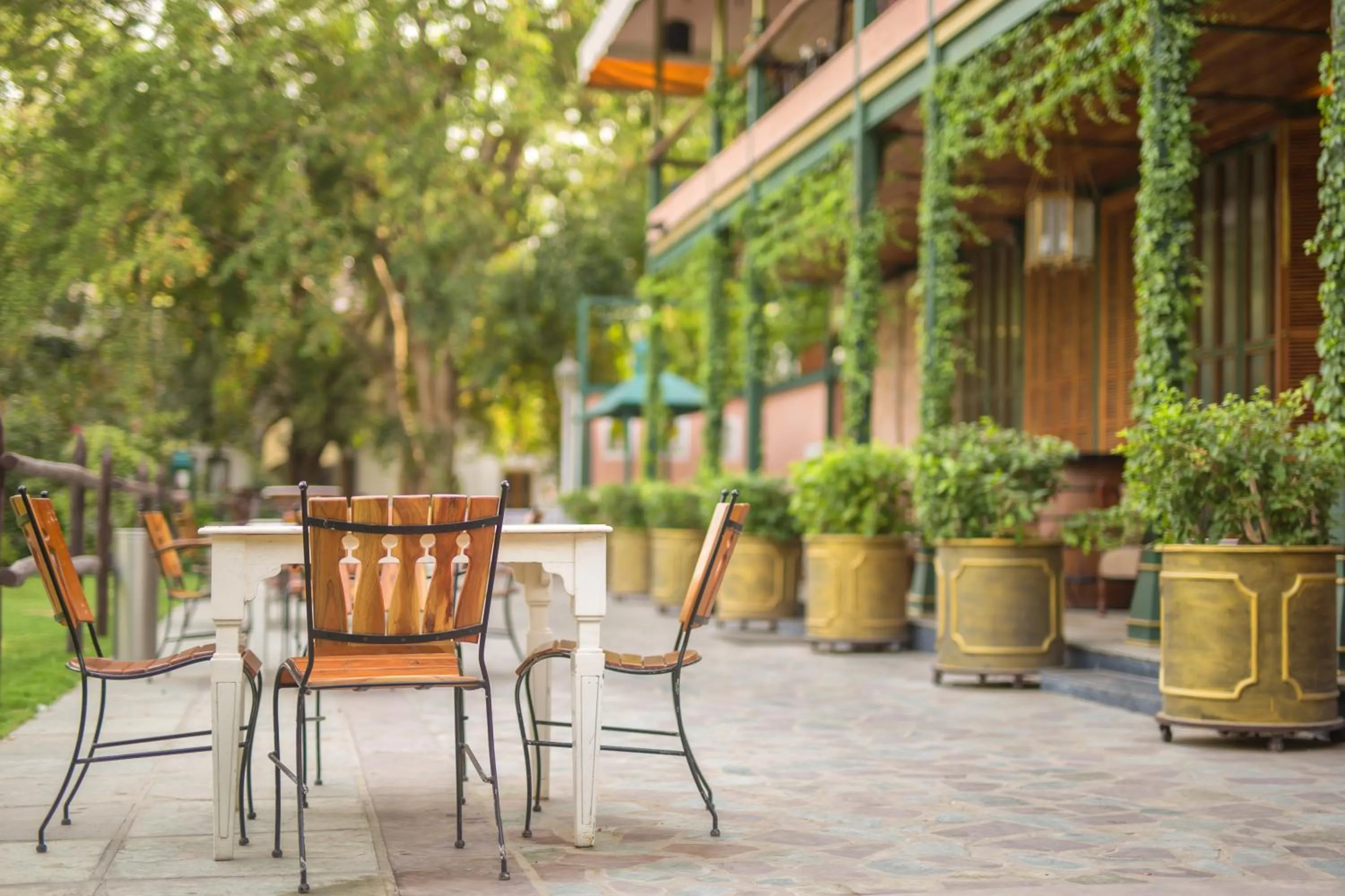 Restaurant/places to eat in Hotel Narain Niwas Palace