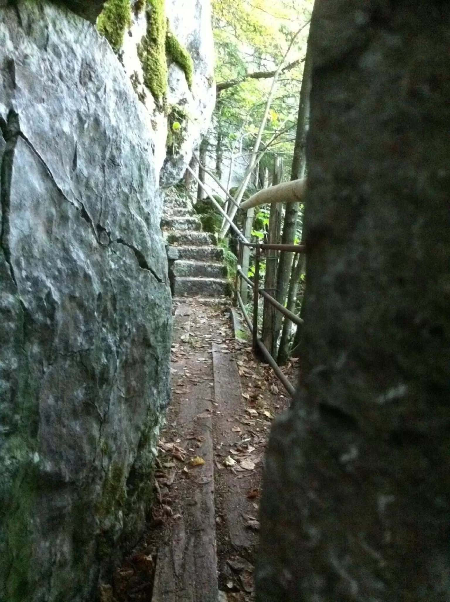 Hiking in Hotel-Gasthof zur Krone
