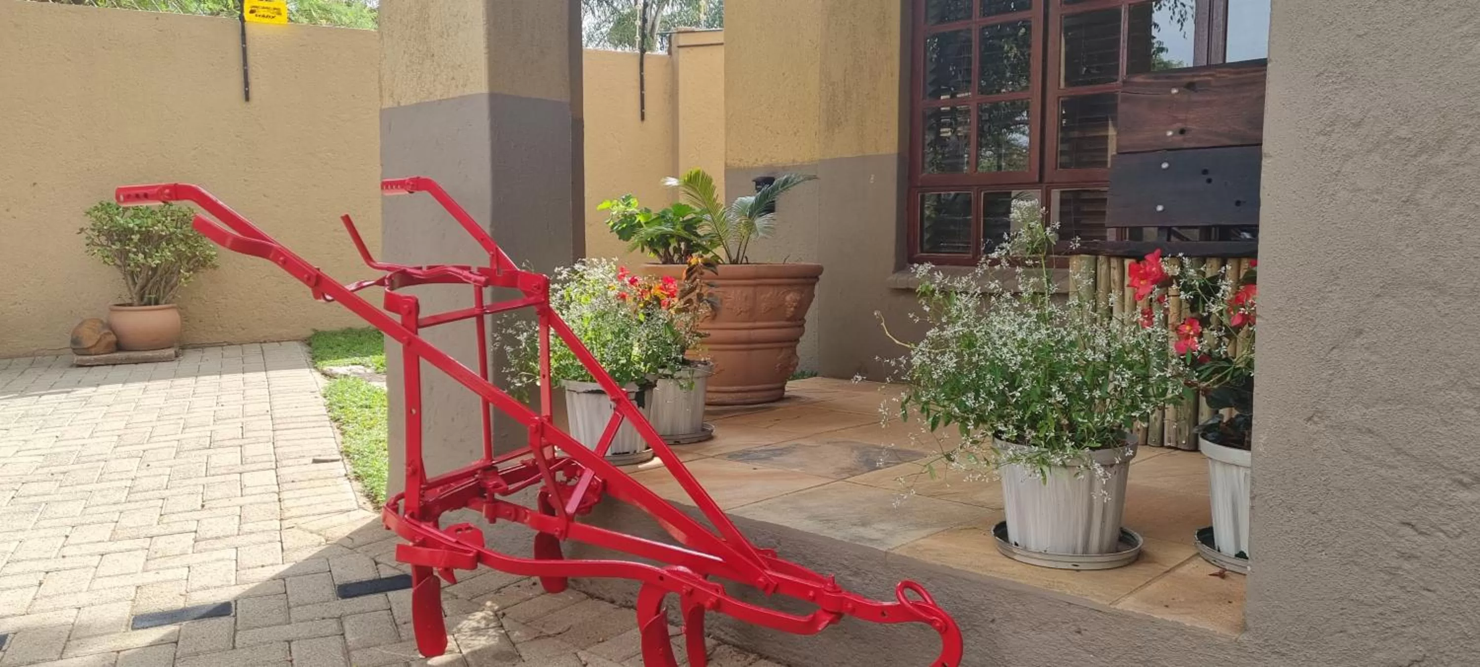 Garden view in The Leopard Tree