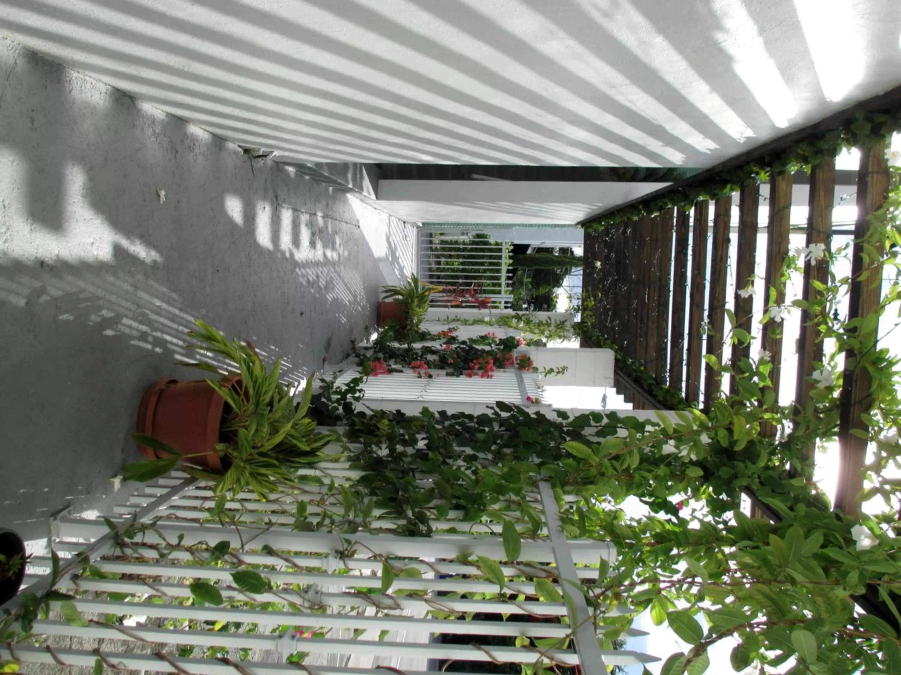 Day in Shalimar Motel