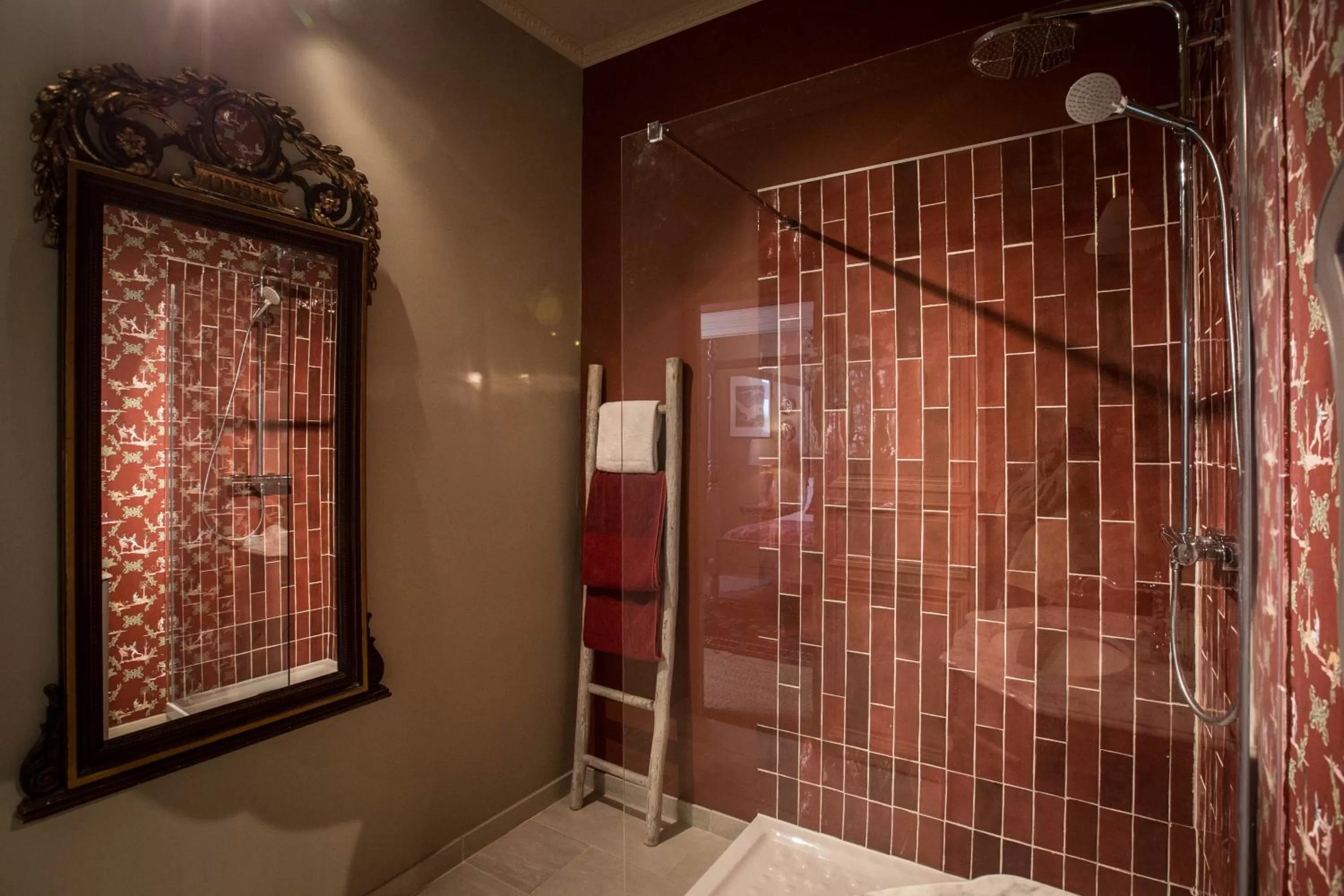 Shower, Bathroom in Carcassonne Bed and Breakfast du Palais