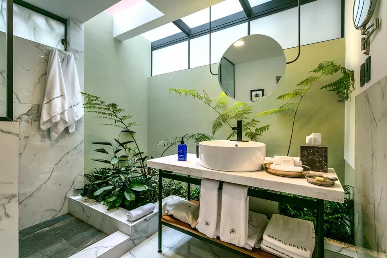 Shower in Orchid House Mexico City