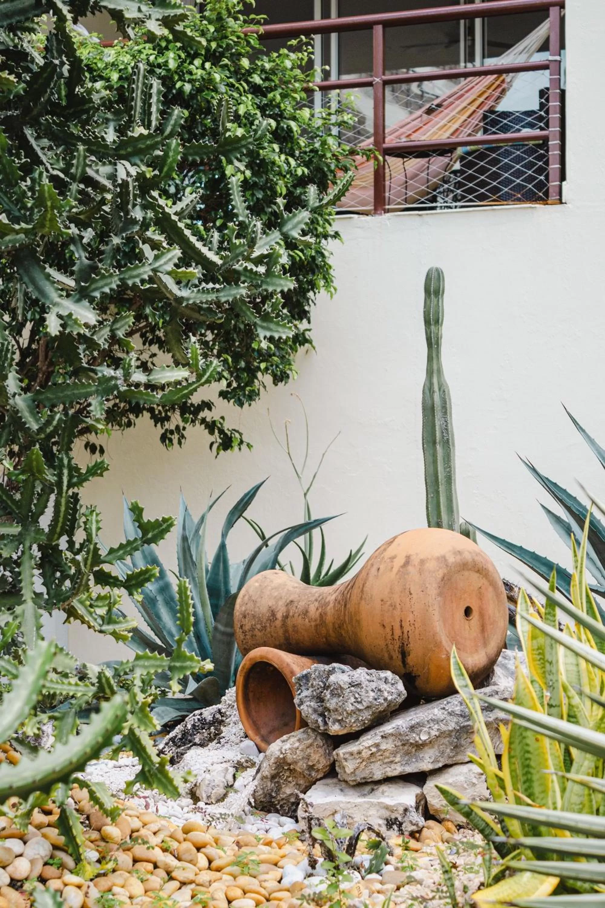 Garden in Ixchel Beach Hotel