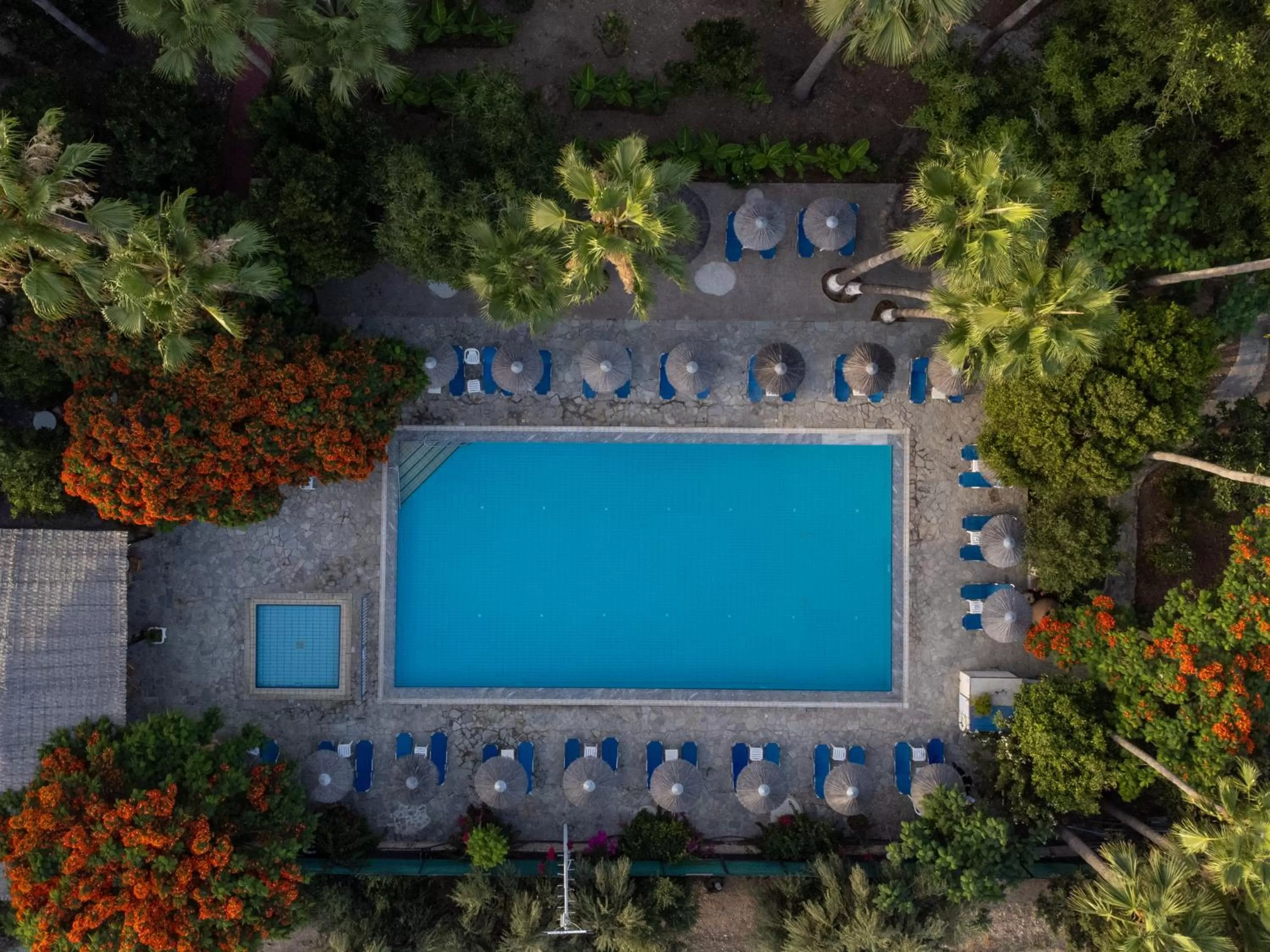 Pool view in Veronica Hotel