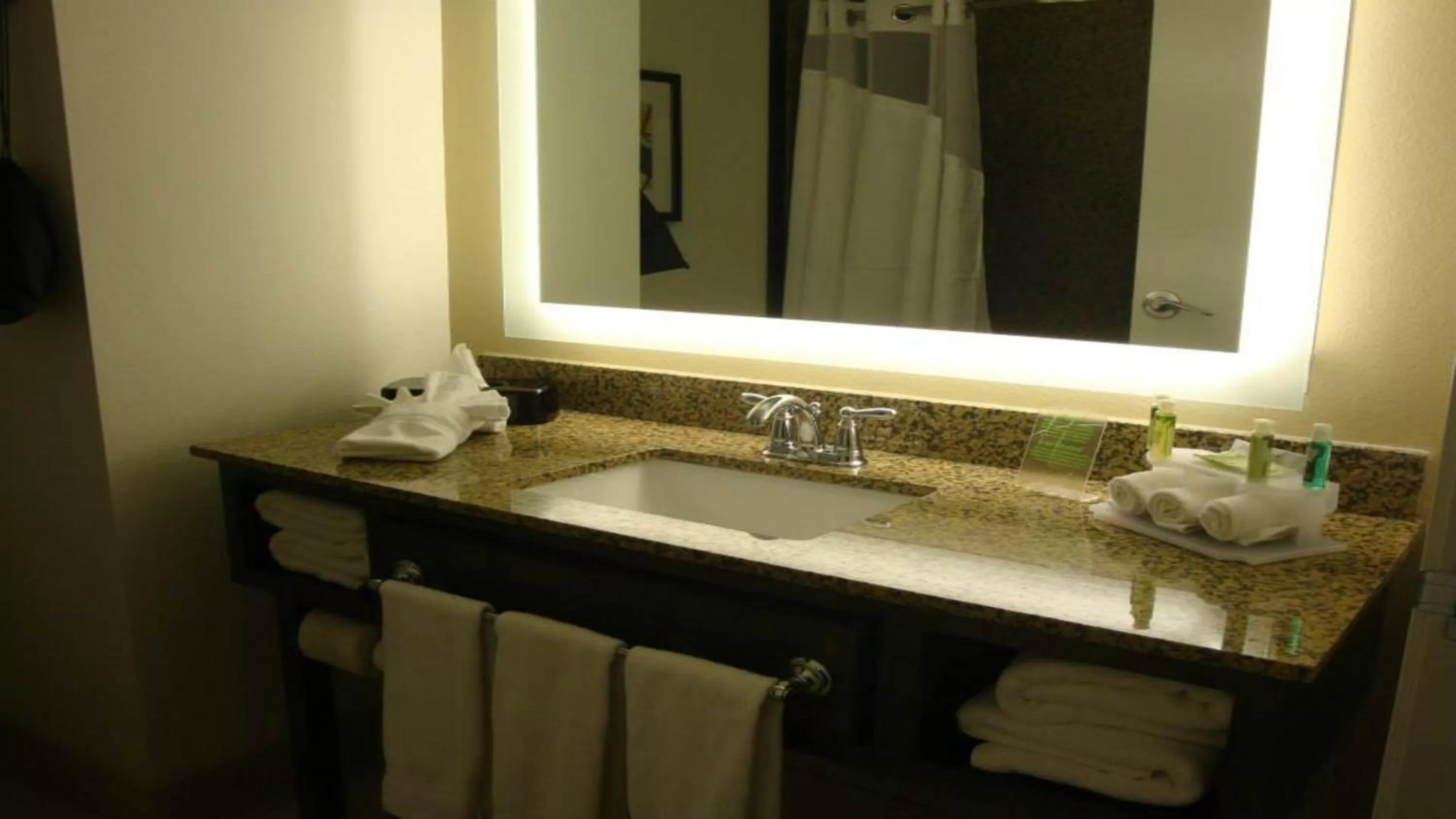Bathroom in Holiday Inn Express Pocatello by IHG