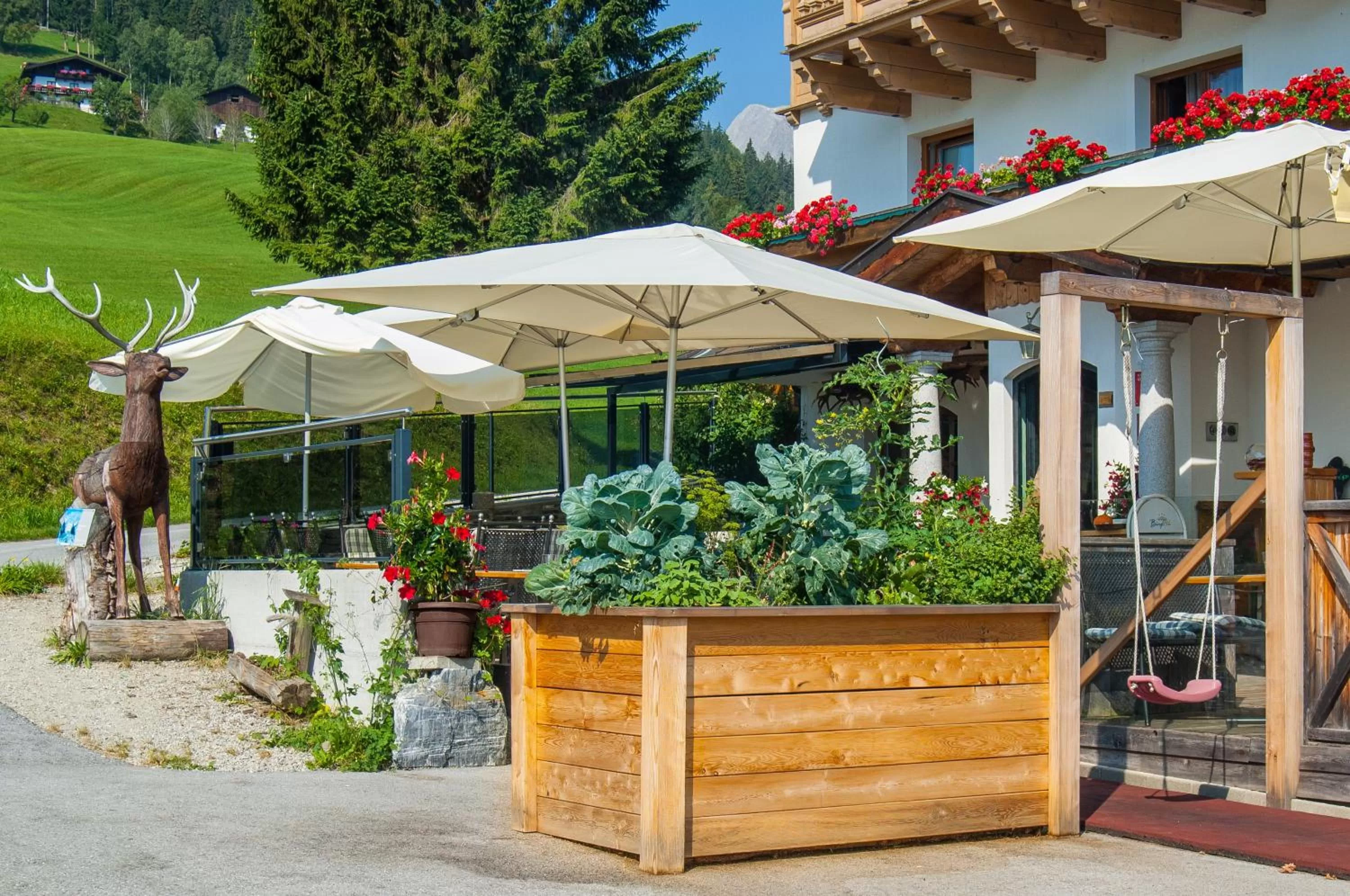 Summer in Hotel und Alpen Apartments mit Sauna - Bürglhöh