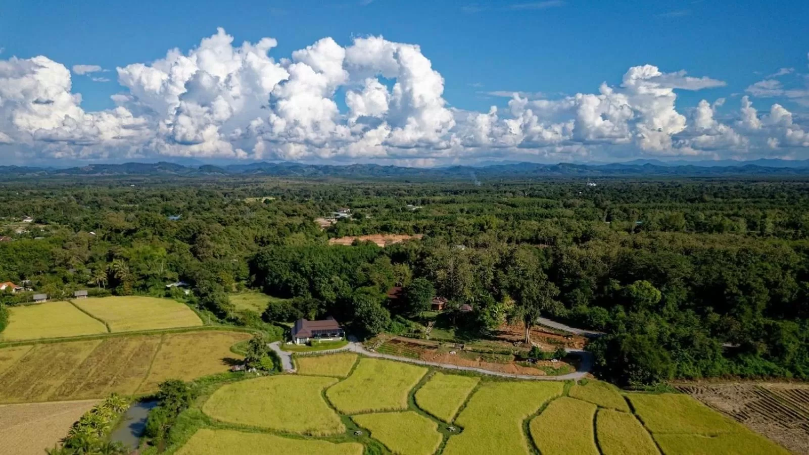 Natural landscape in Nan Seasons Boutique Resort