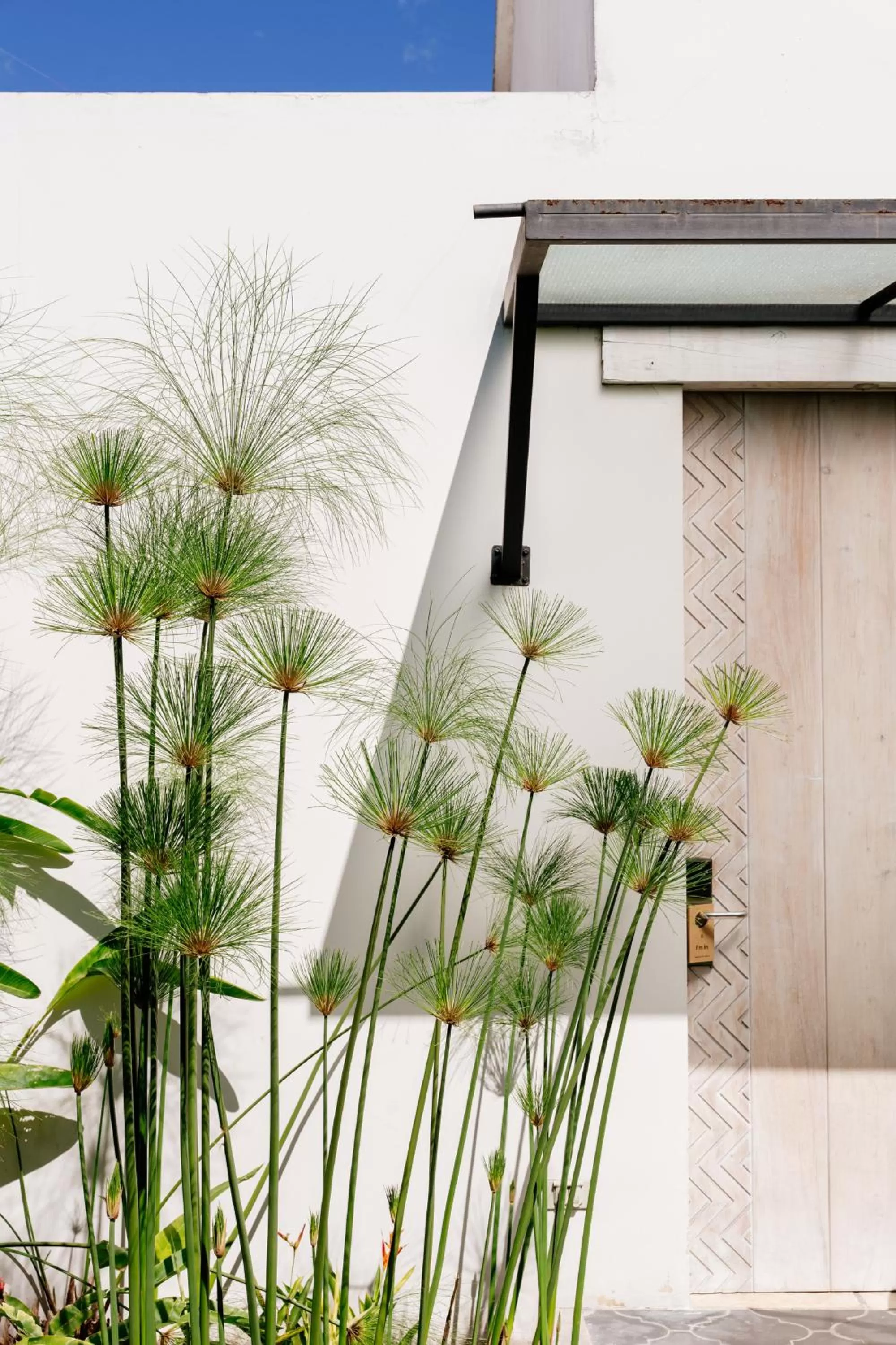 Garden view in Good Hotel Antigua