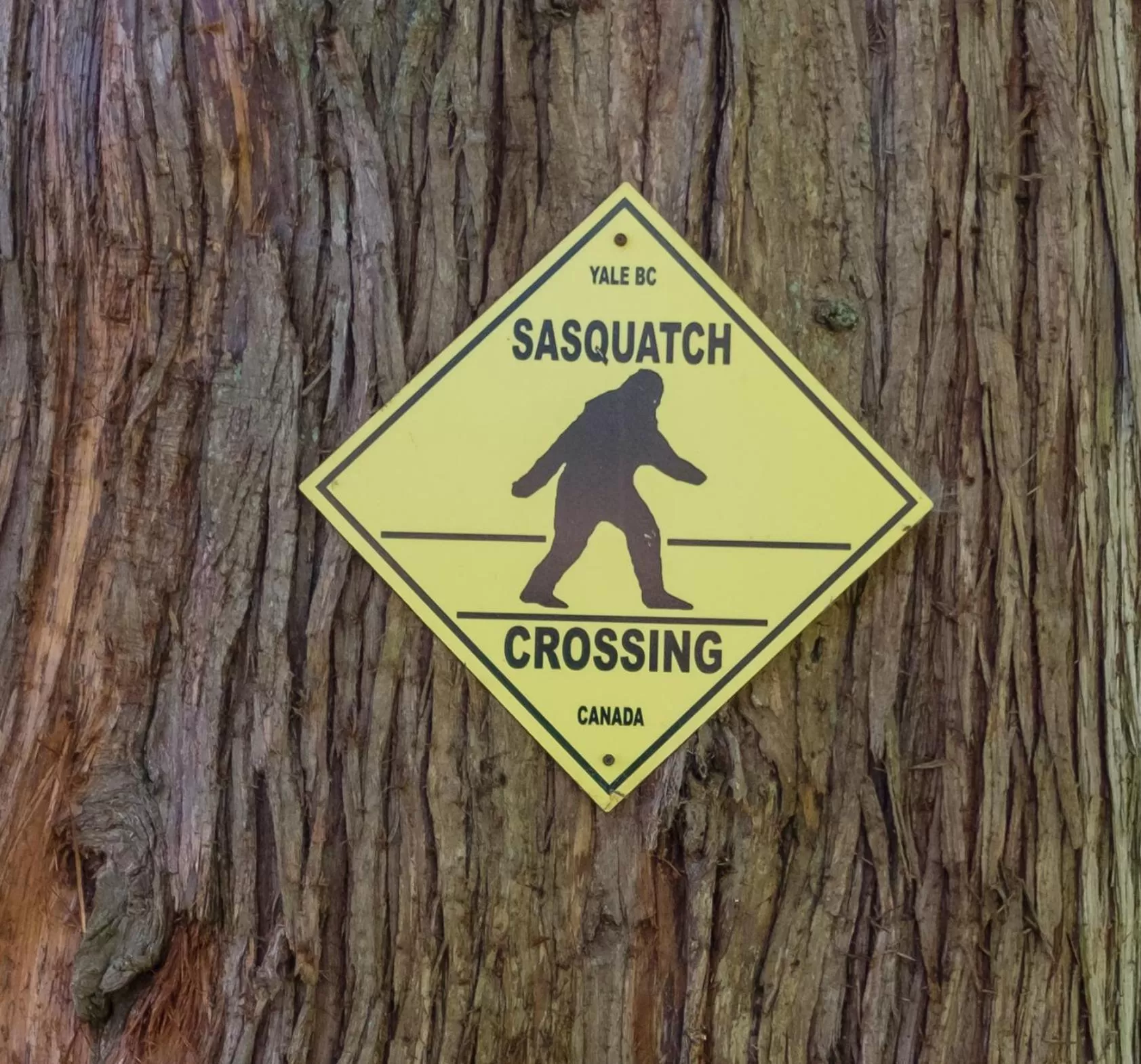 Bramblebank Cottages