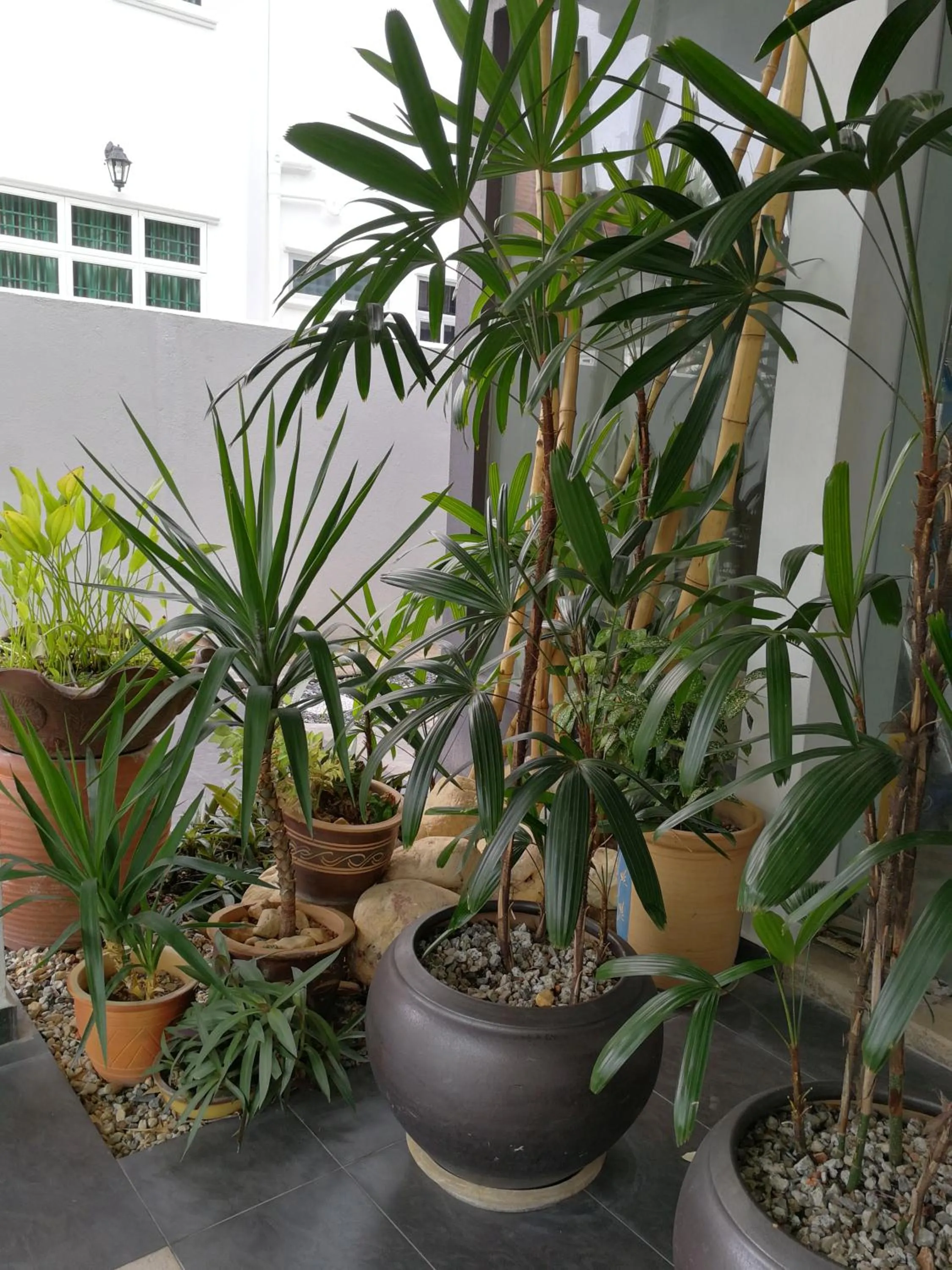 Millenium maison home