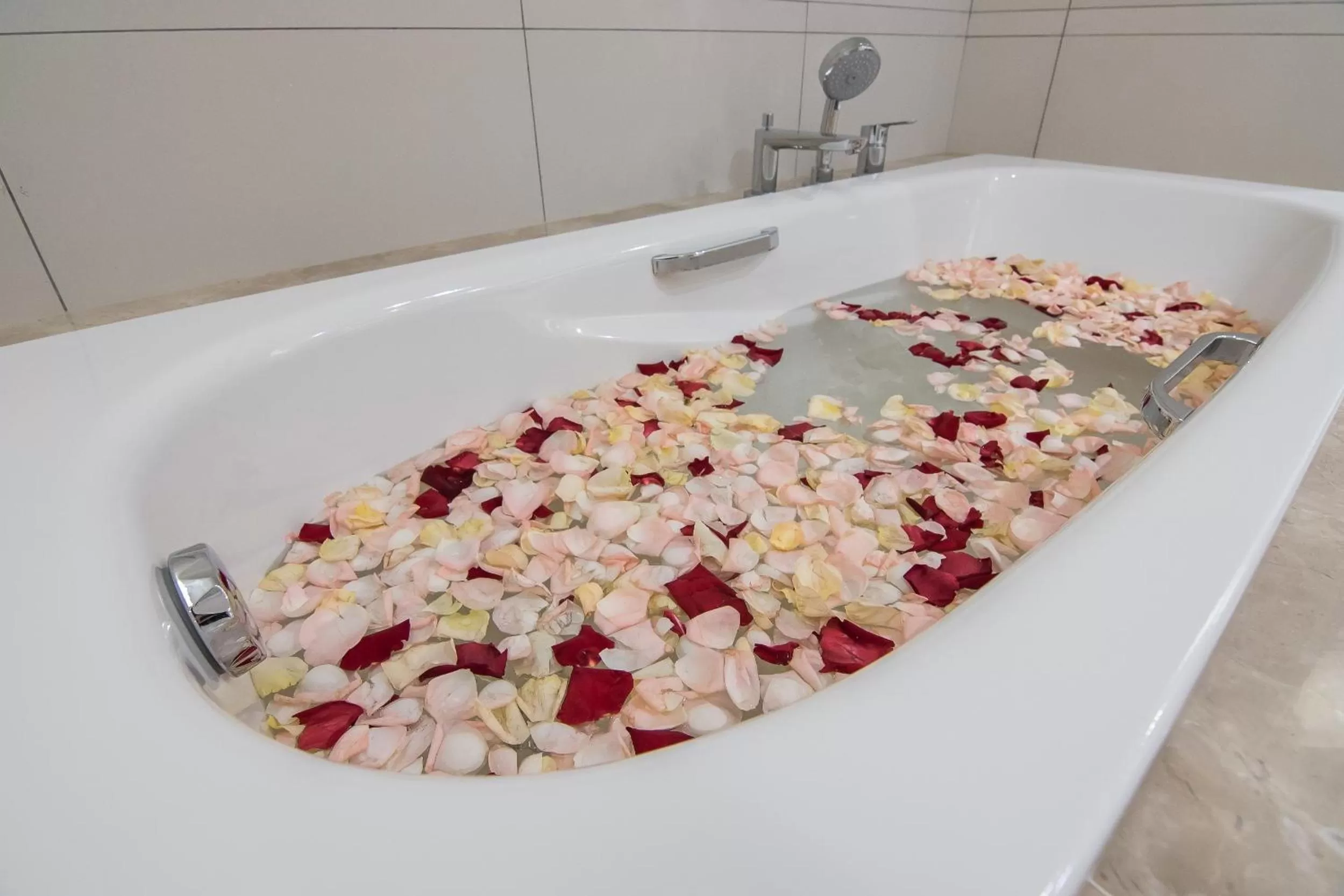 Area and facilities in MTREE Hotel