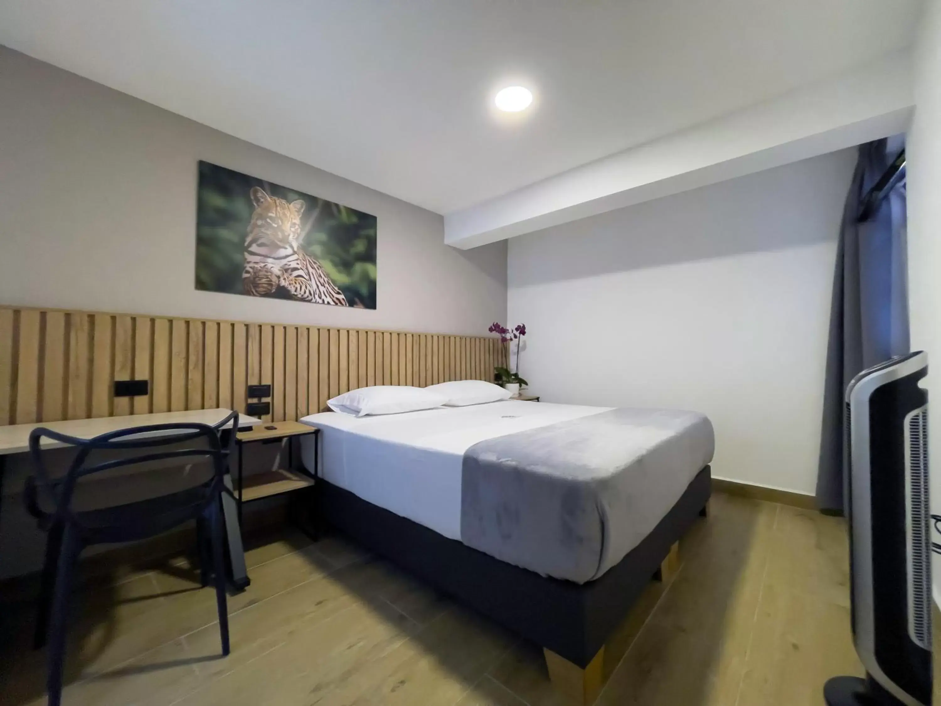 Double or Twin Room in Vita Hotel Boutique - Aire Acondicionado & Desayuno Double or Twin Room in Vita Hotel Boutique - Aire Acondicionado & Desayuno