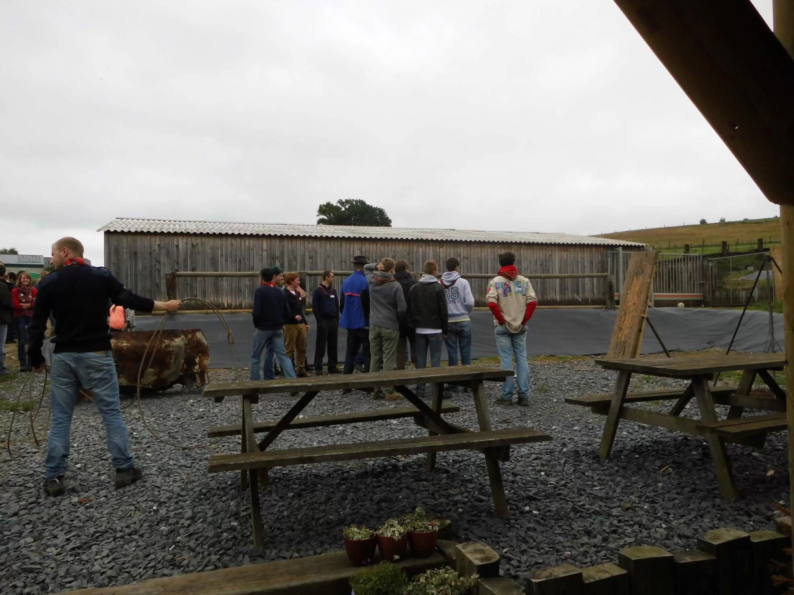 Entertainment in B&B Willow Springs Way Station
