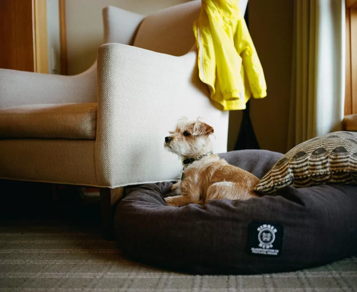 Headlands Coastal Lodge & Spa