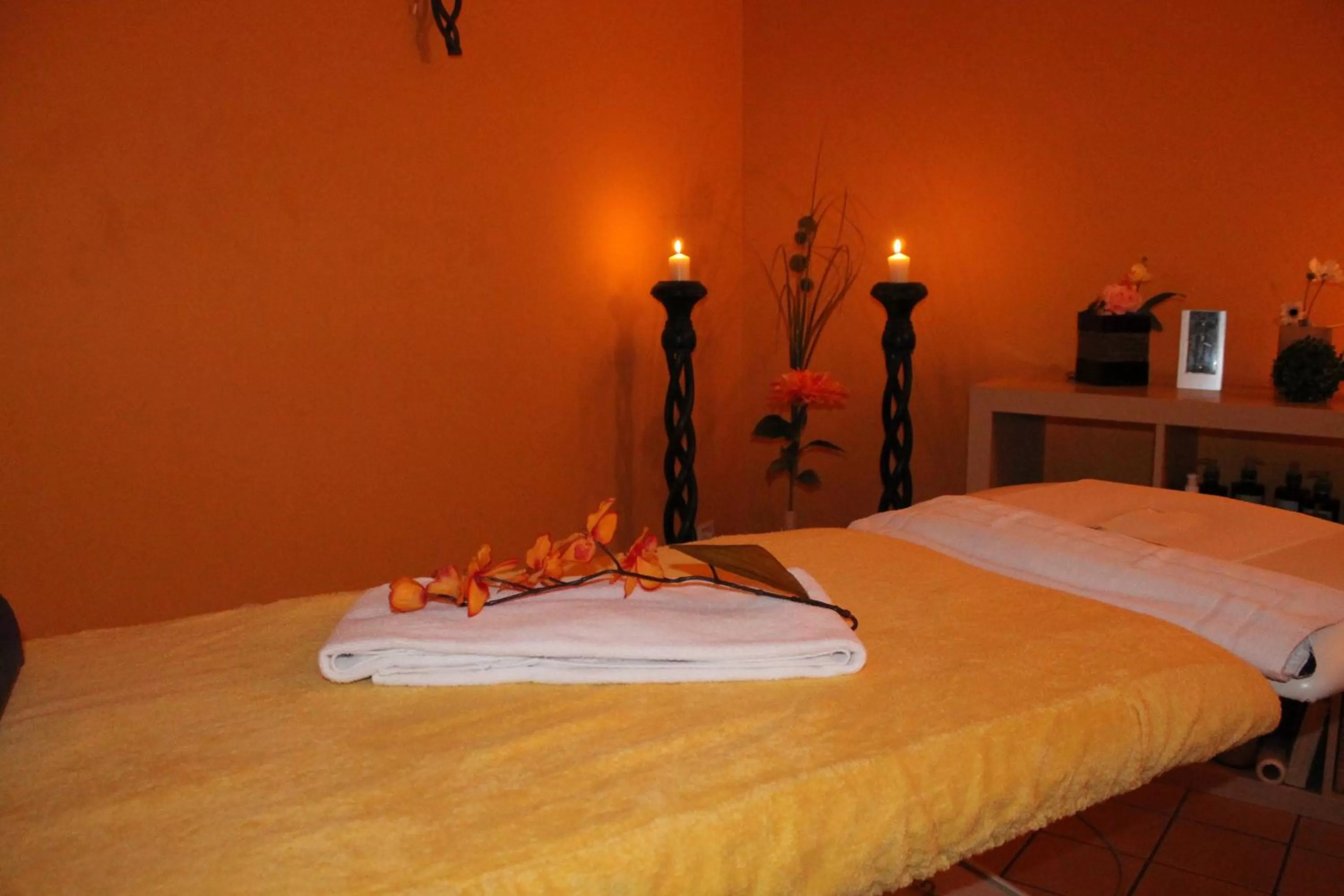 Spa and wellness centre/facilities in Hotel Balneolum Superior